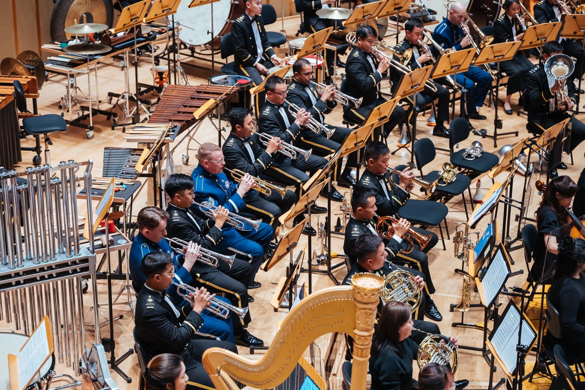 The combined brass section in performance.