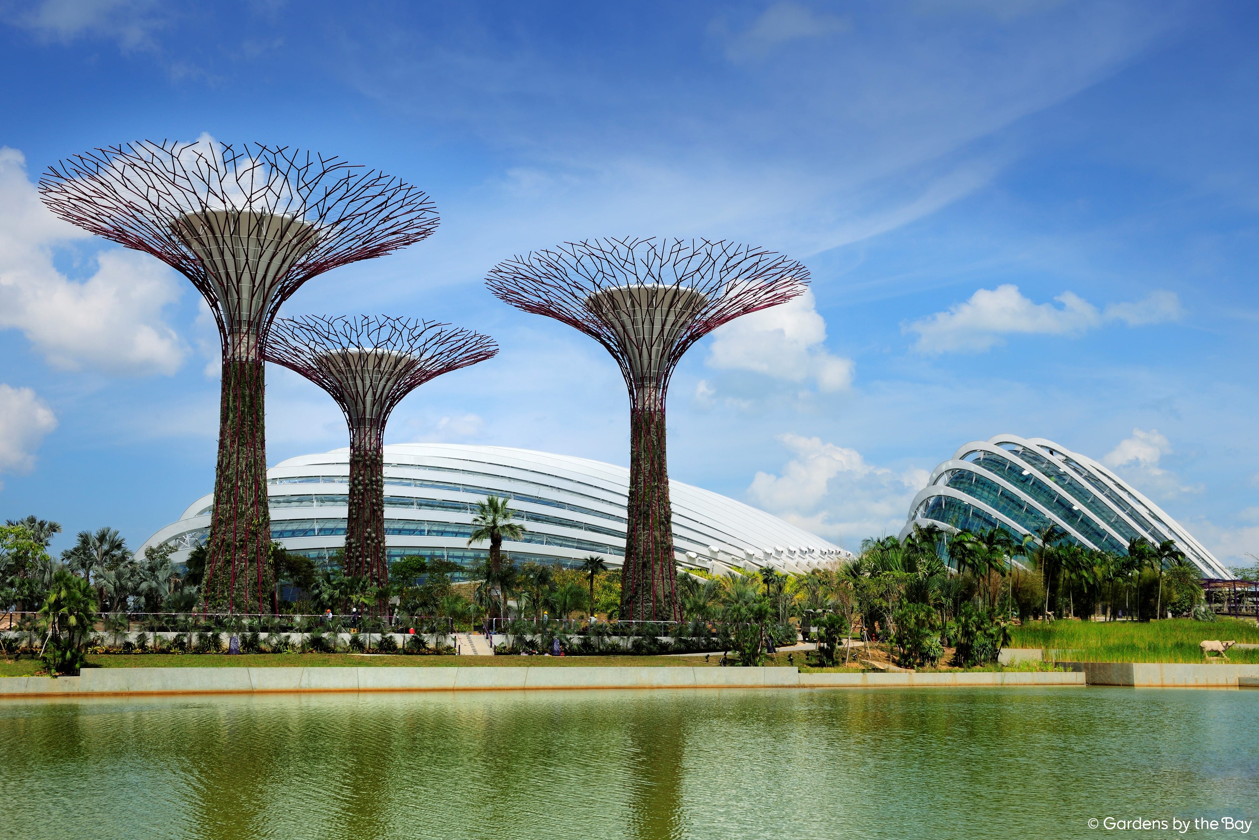 Photo of Gardens by the Bay
