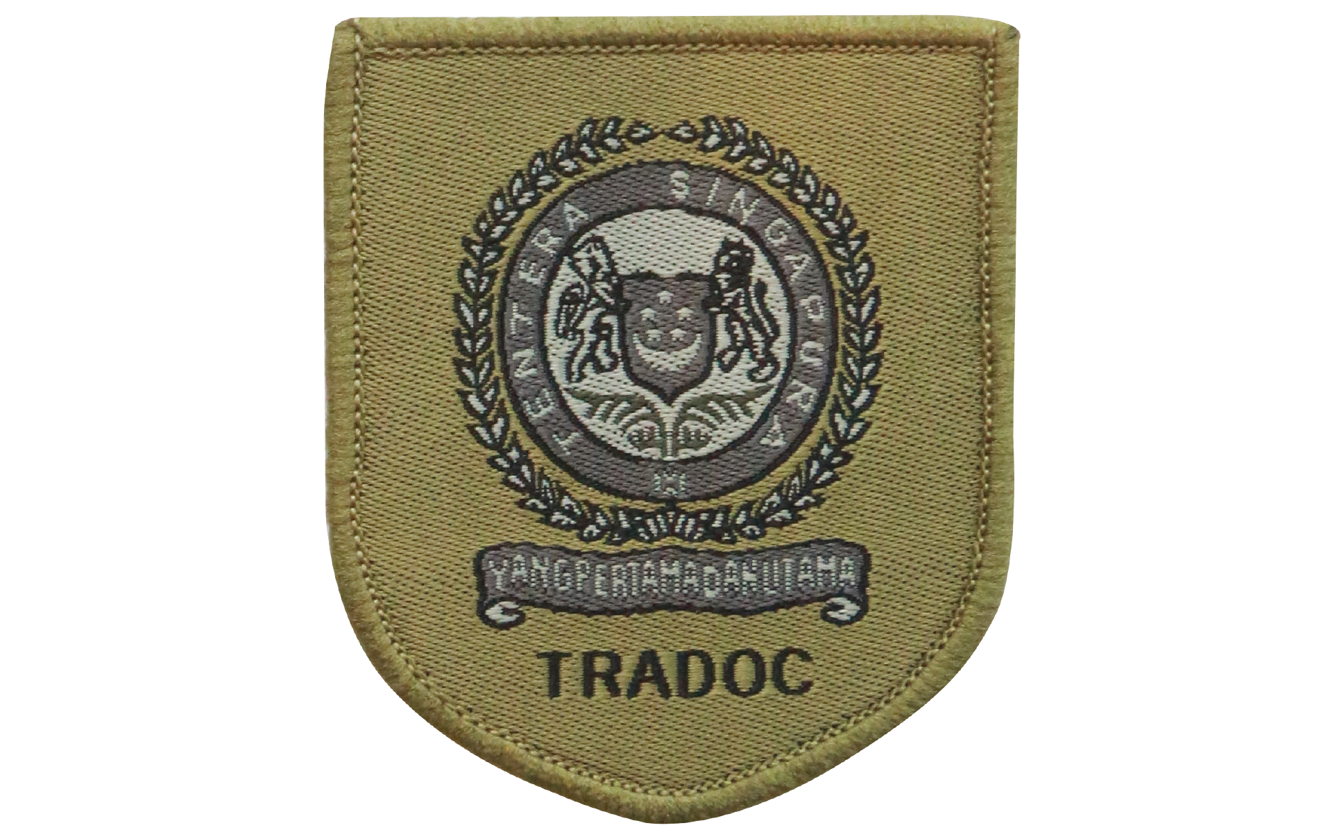 TRADOC patch