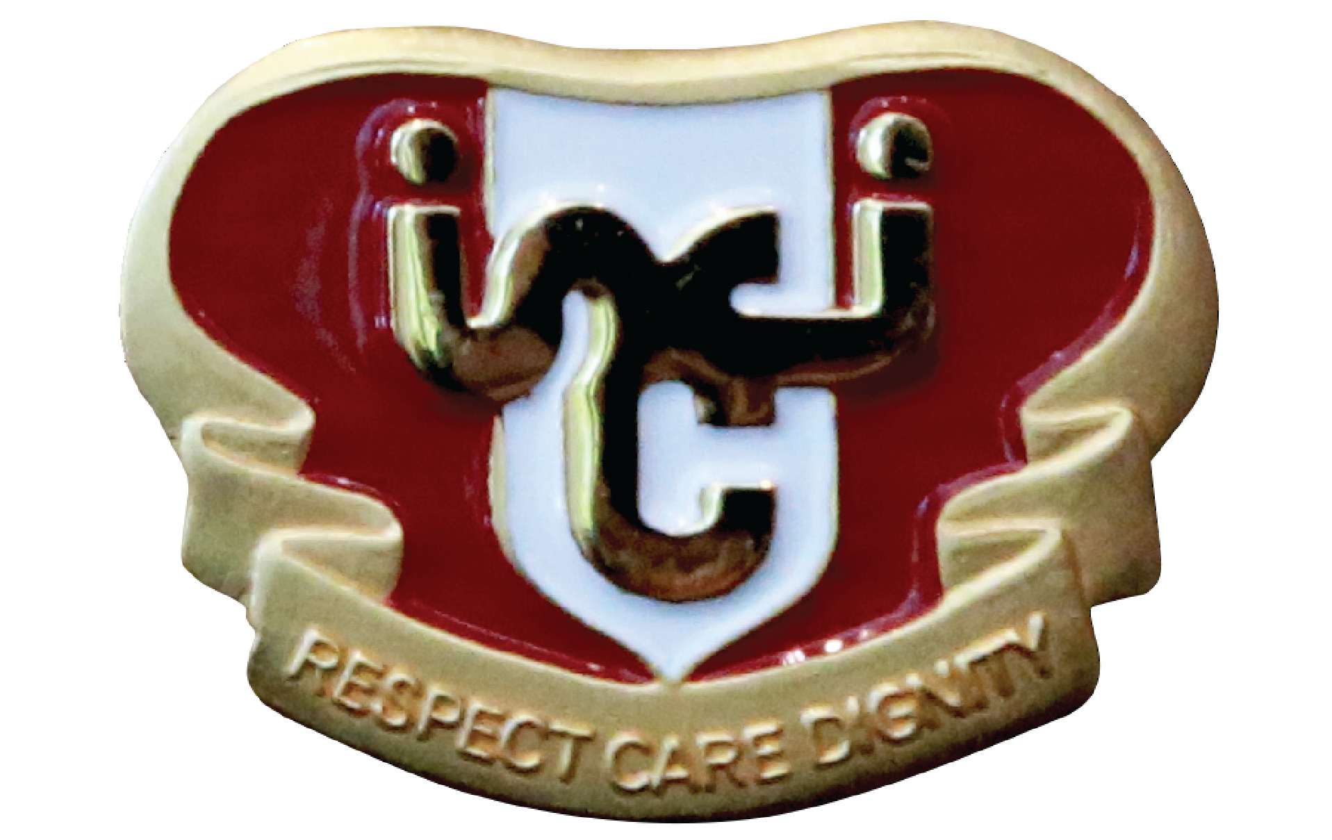 Para Counsellor badge