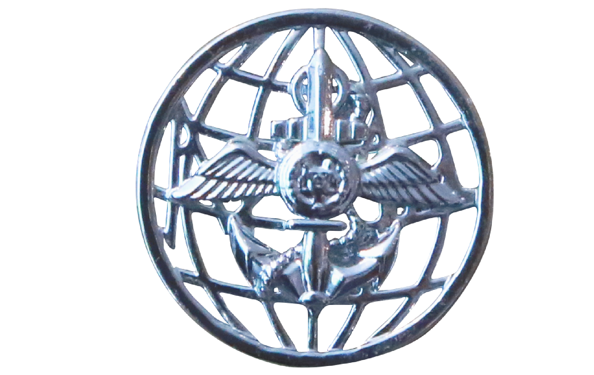 Intelligence badge