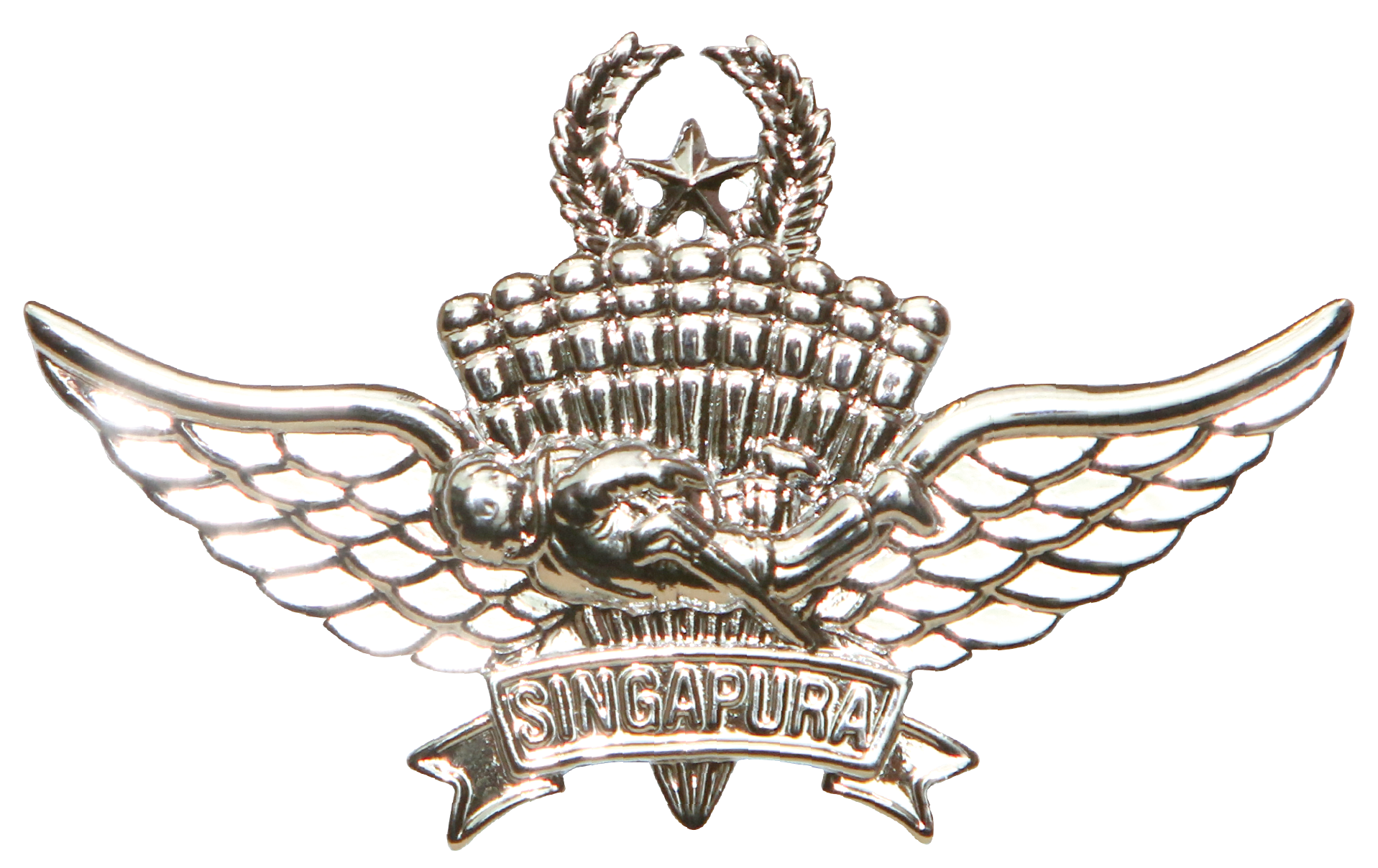 Advanced Military Free Fall Parachutist badge