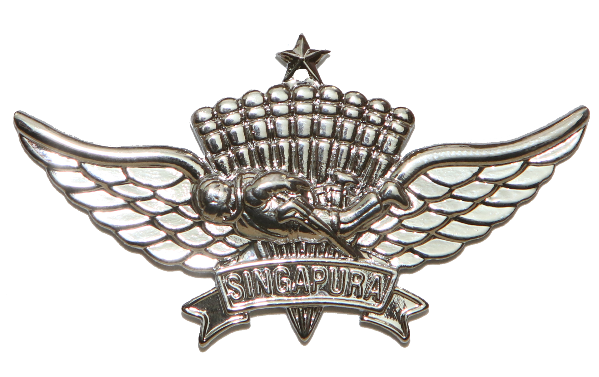 Basic Military Free Fall Parachutist badge