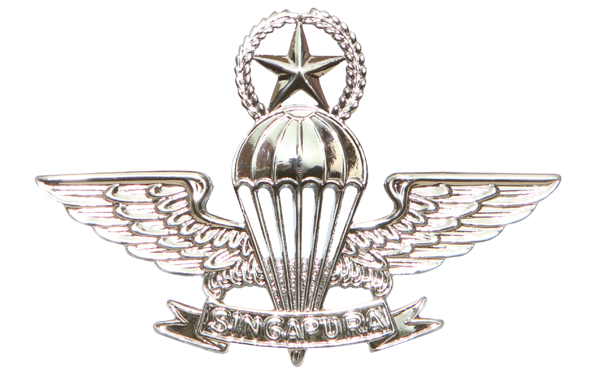 Master Parachutist badge
