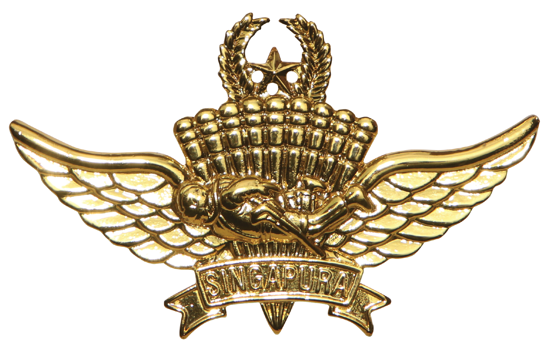 Gold Military Free Fall Parachutist badge