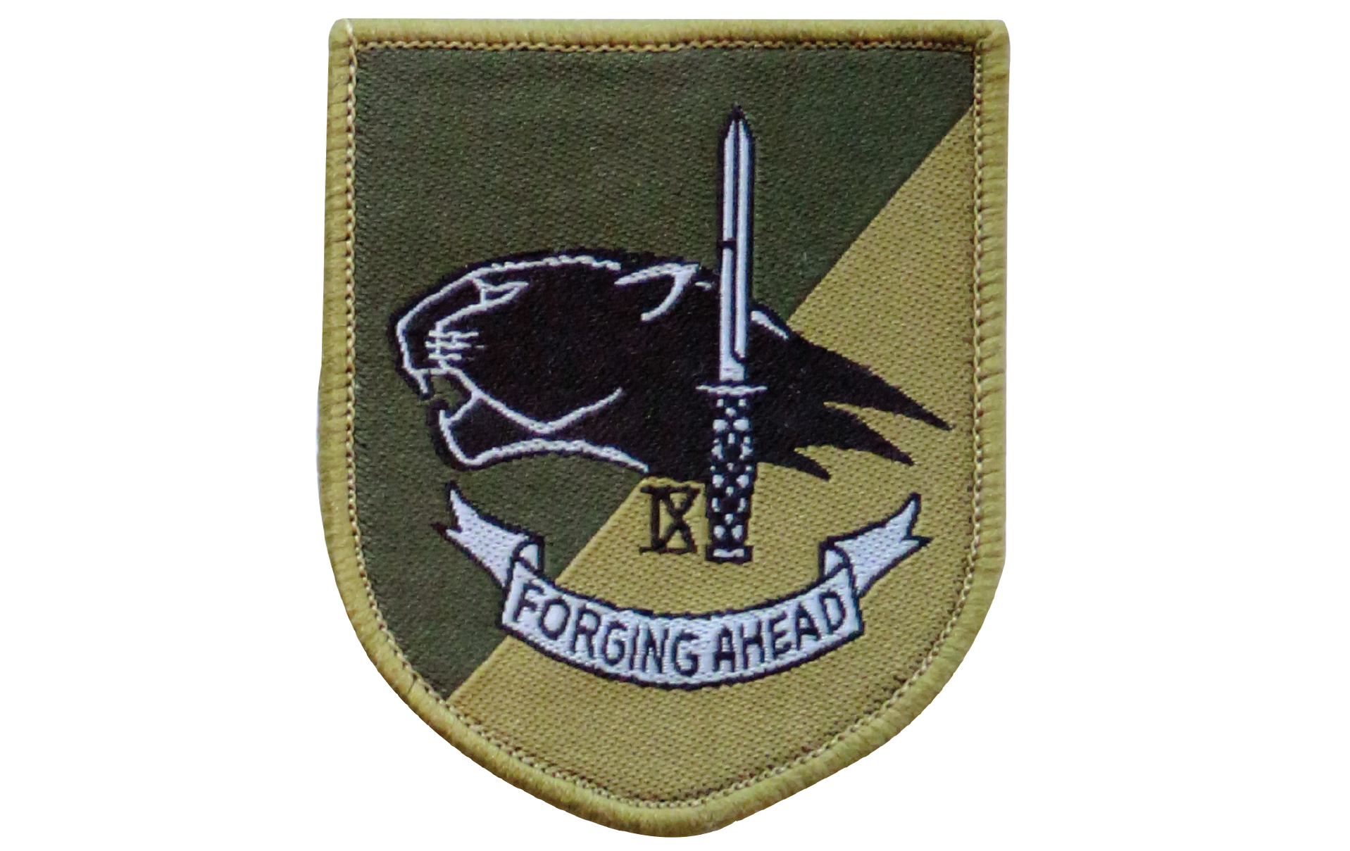9 Div patch