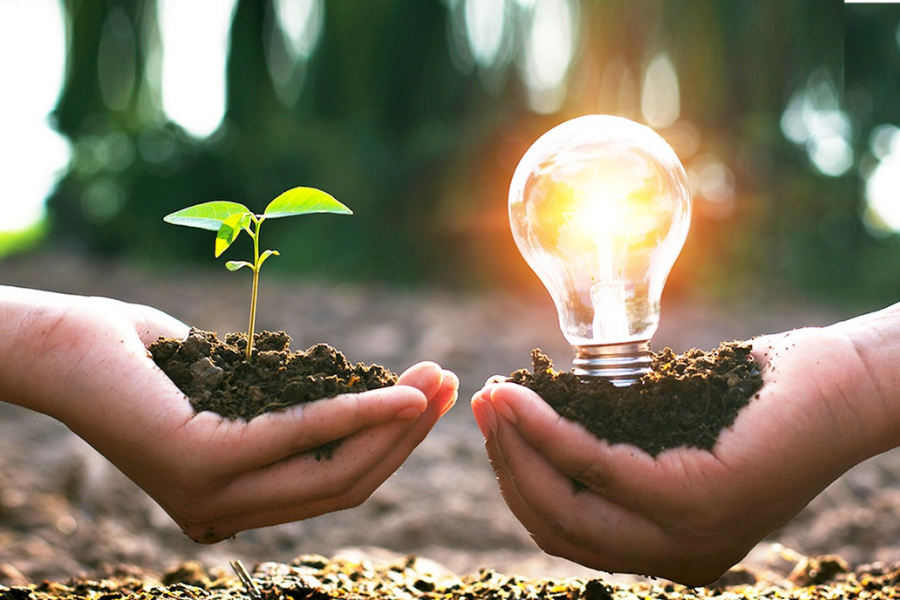 Hands holding a small plant and a lightbulb, symbolising sustainability and innovation in economic defence.