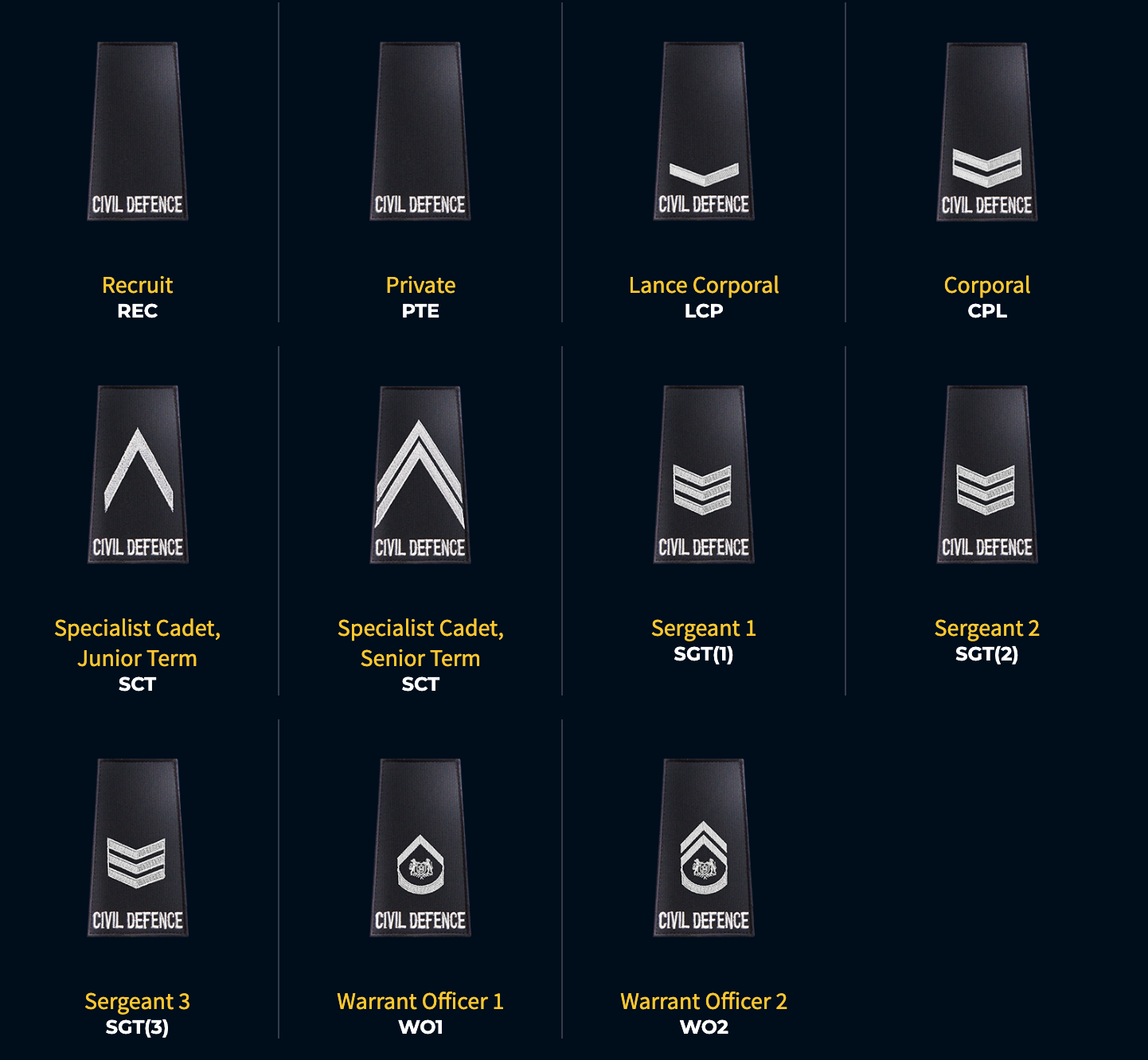 Chart of Singapore Civil Defence Force junior officers' rank insignia on dark background.