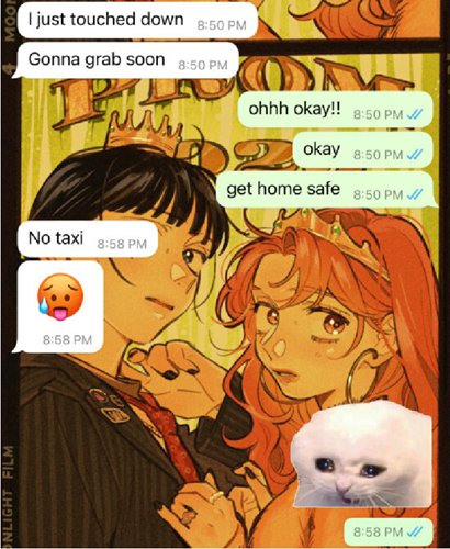 Chat shows messages about no available taxis and ends with a meme of a sad cat emoji