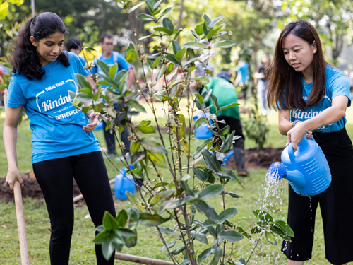 Volunteers in a blue shirt smiling while watering a young tree at a green park