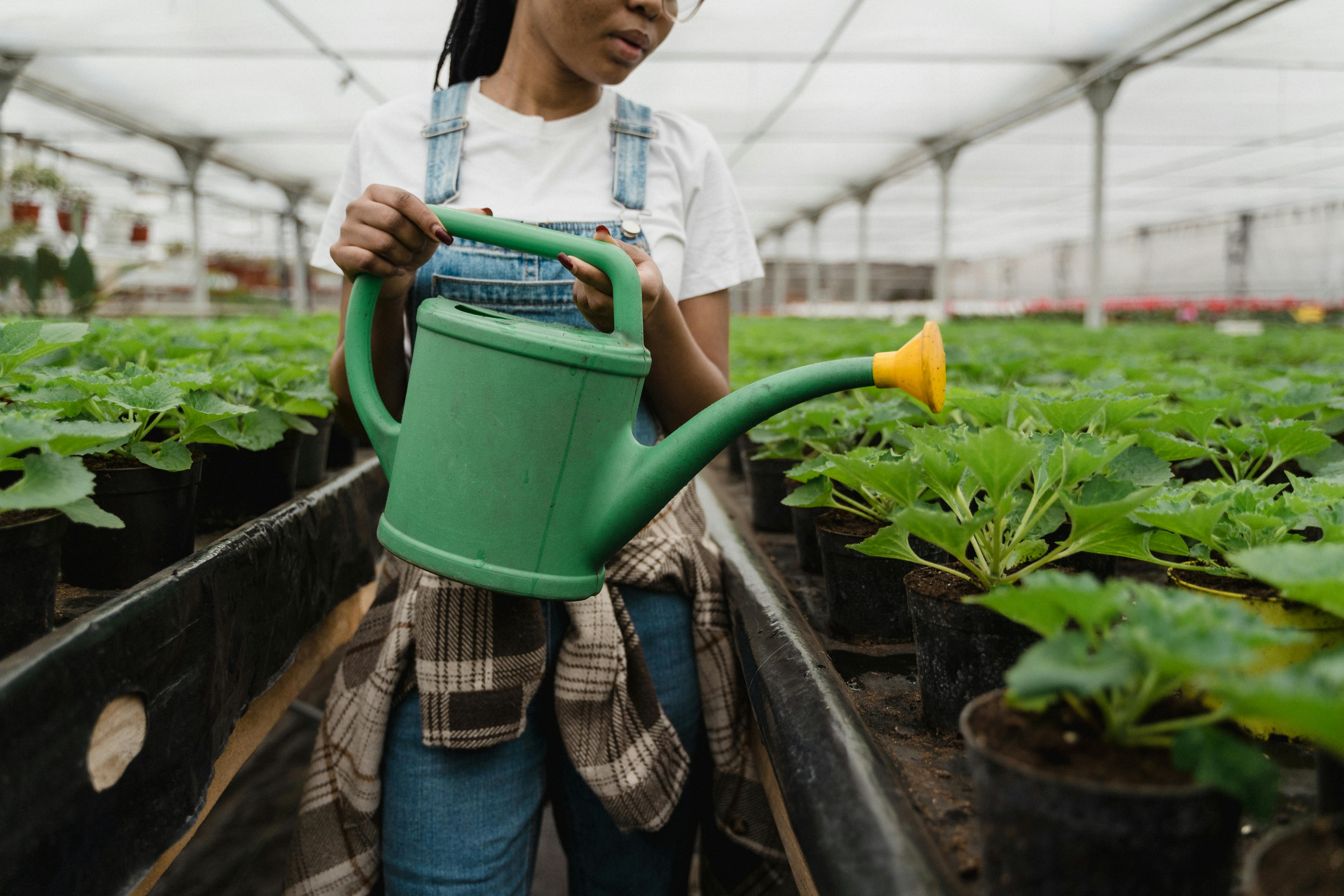 Girl water plant in a farm.