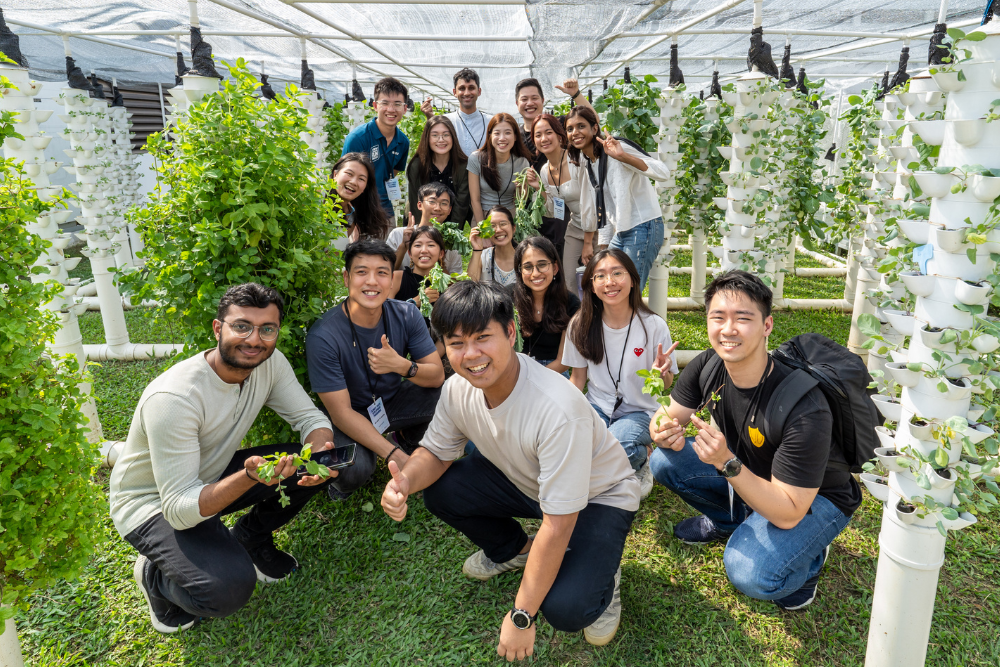 Group of people in a greenhouse with vertical planters holding plants.