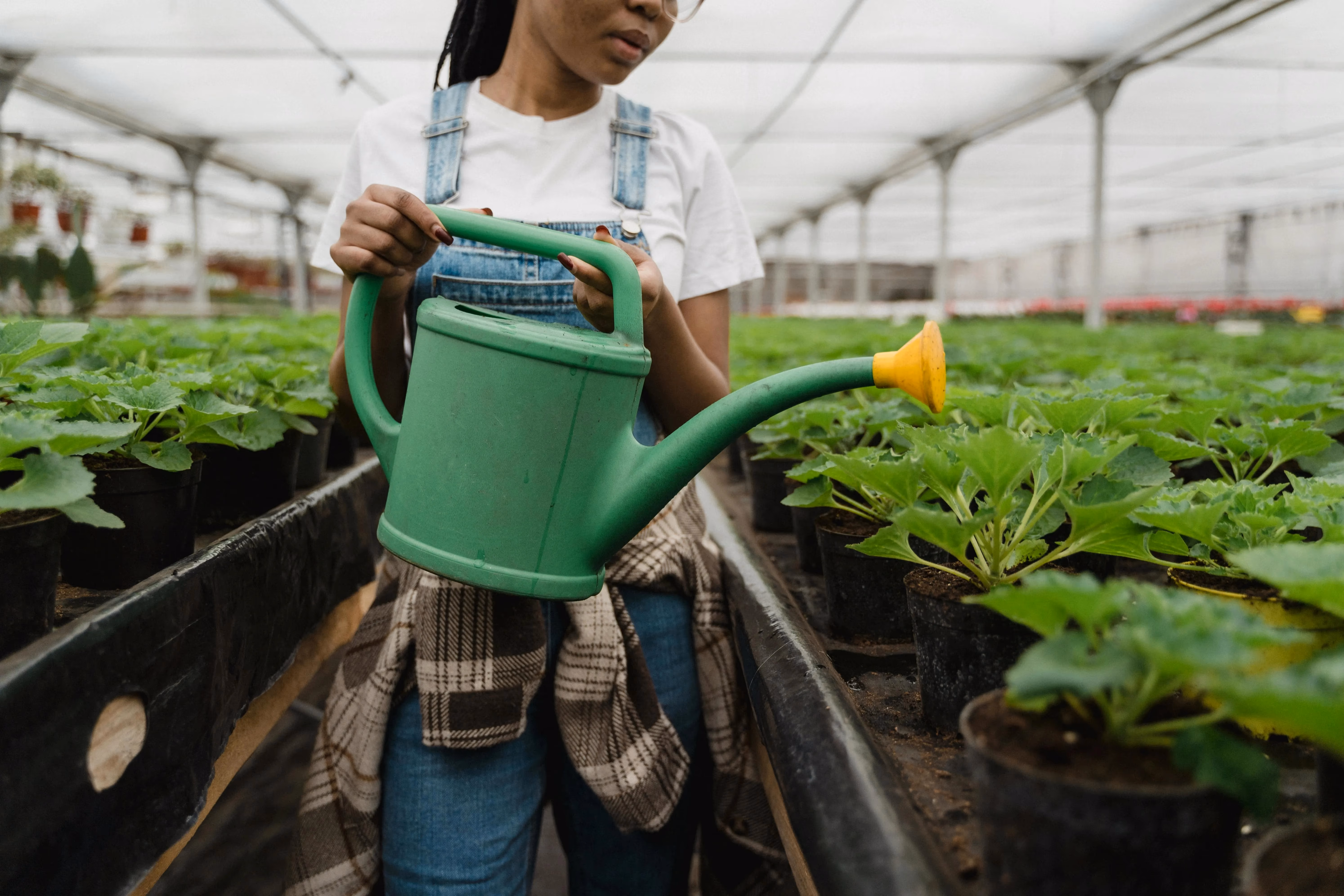 The webinar explored green economy careers, highlighting skills, support, and pathways for non-traditional jobs aligned with youths’ values.