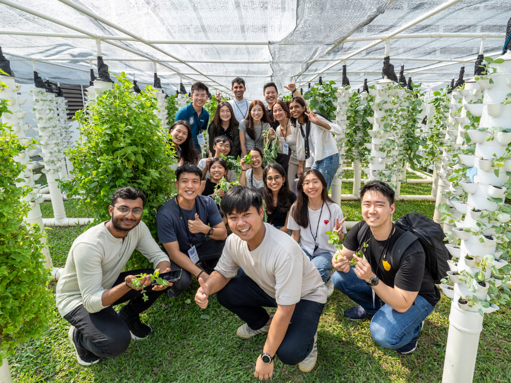 Group of people in a vertical garden with layered pots and white support structure.