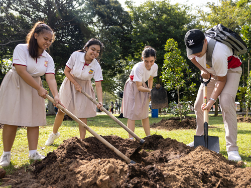 Students in uniform digging soil together as part of a tree planting activity