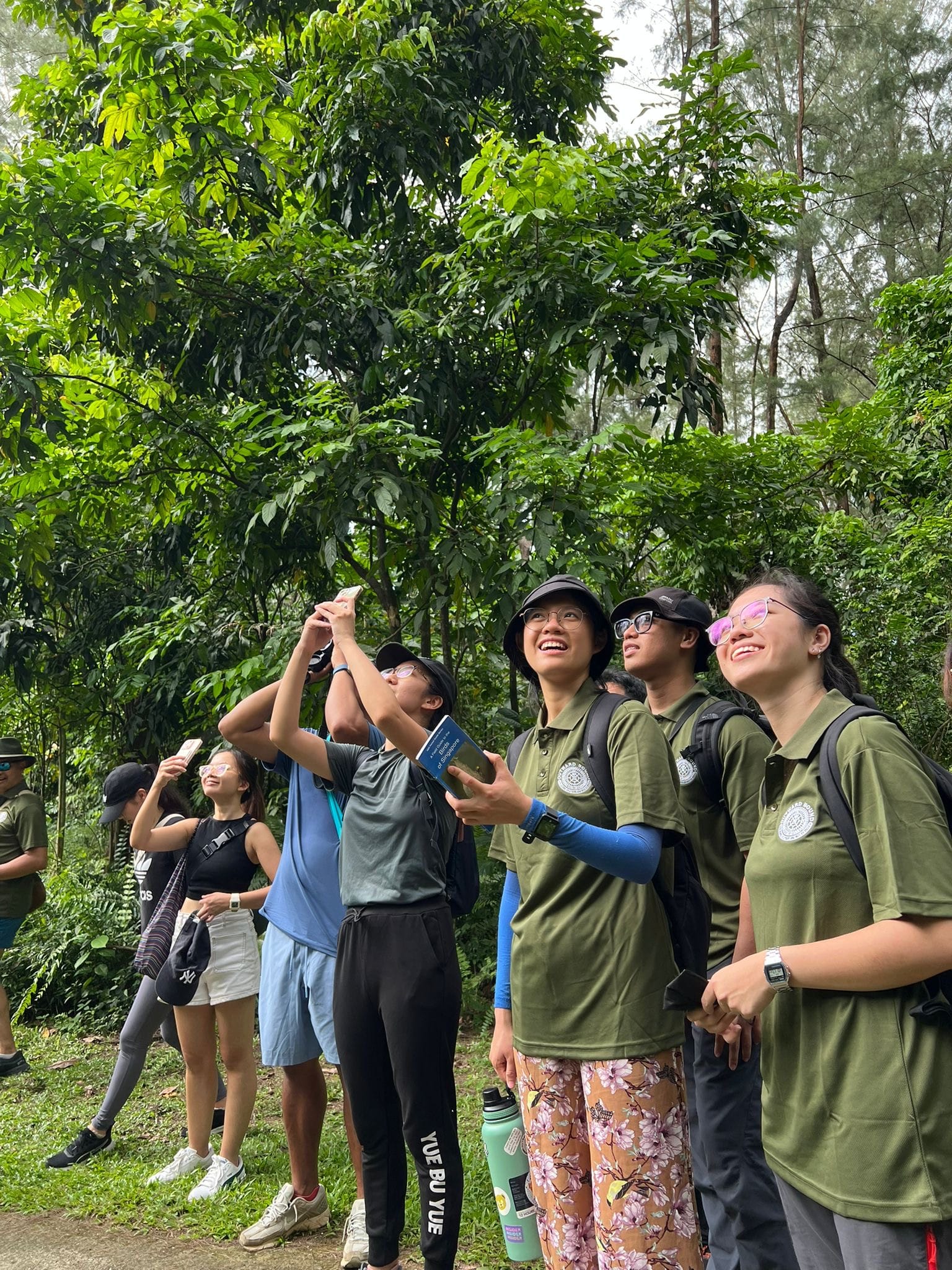 This is the alt text