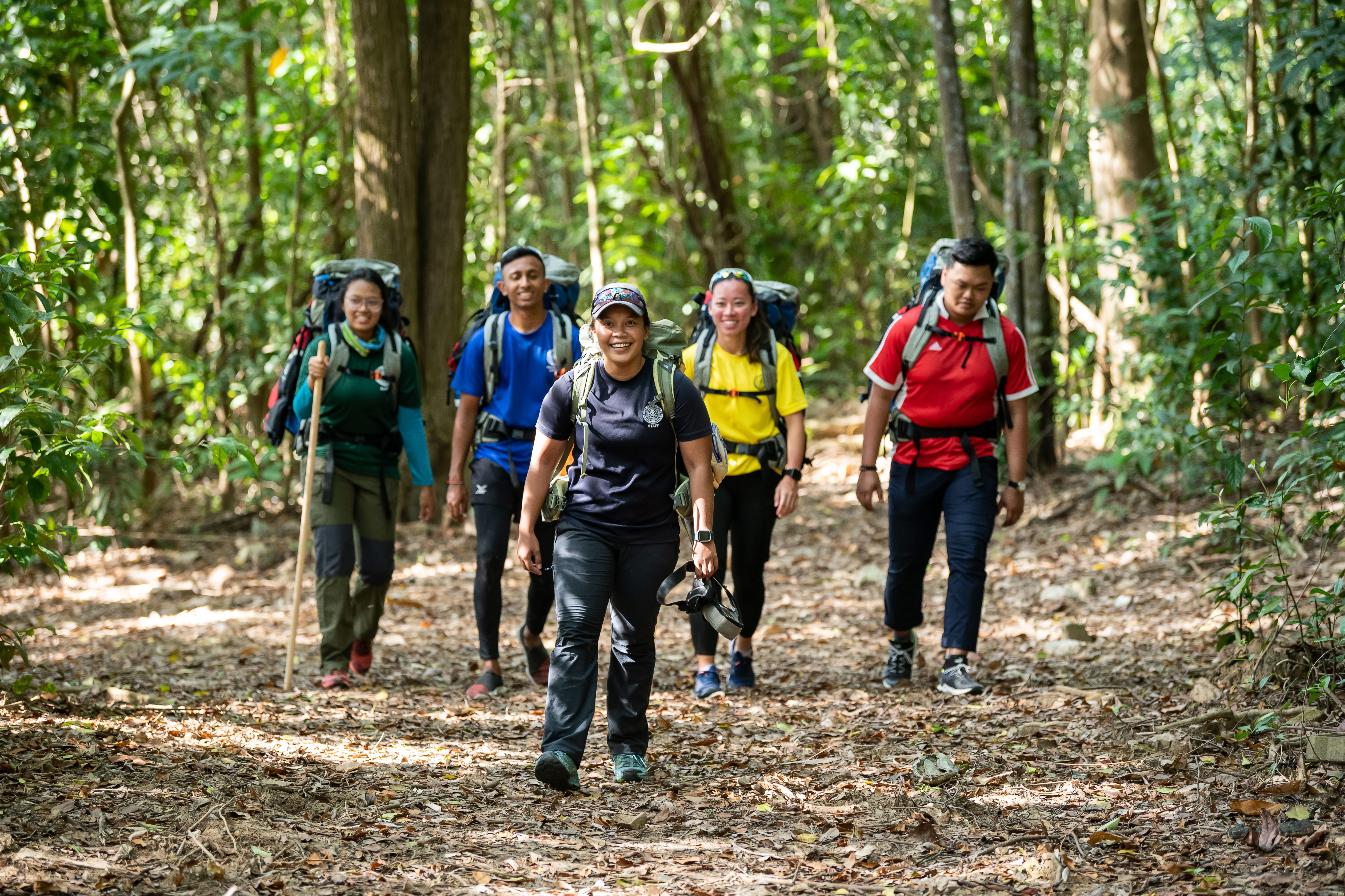 A group of people walking in the forest while carrying their camping gear.