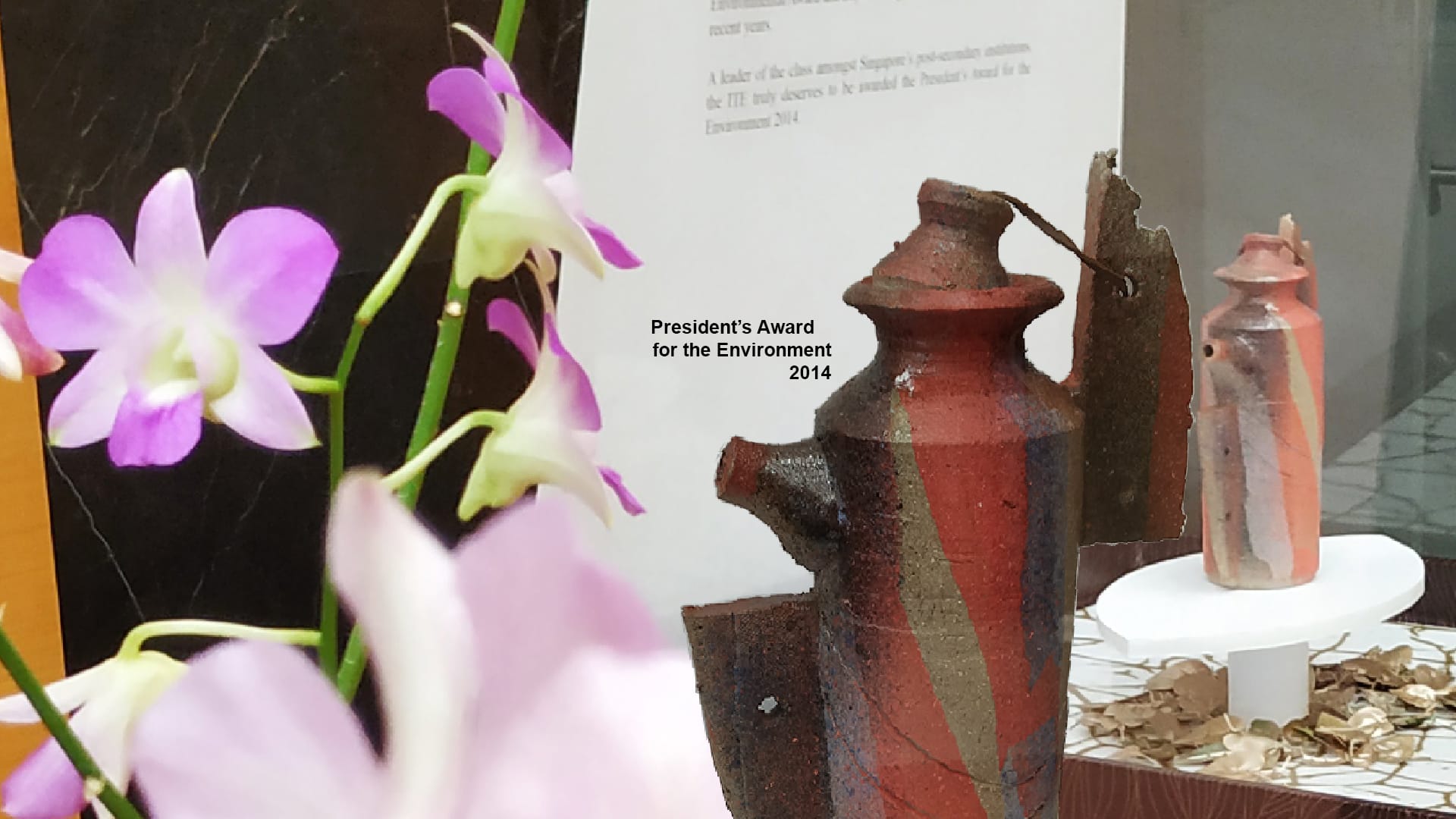 Pink orchids beside 'President's Award for the Environment 2014' display with pottery.
