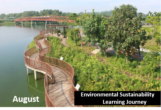 Park scene with a winding wooden boardwalk, a bridge, and lush greenery.