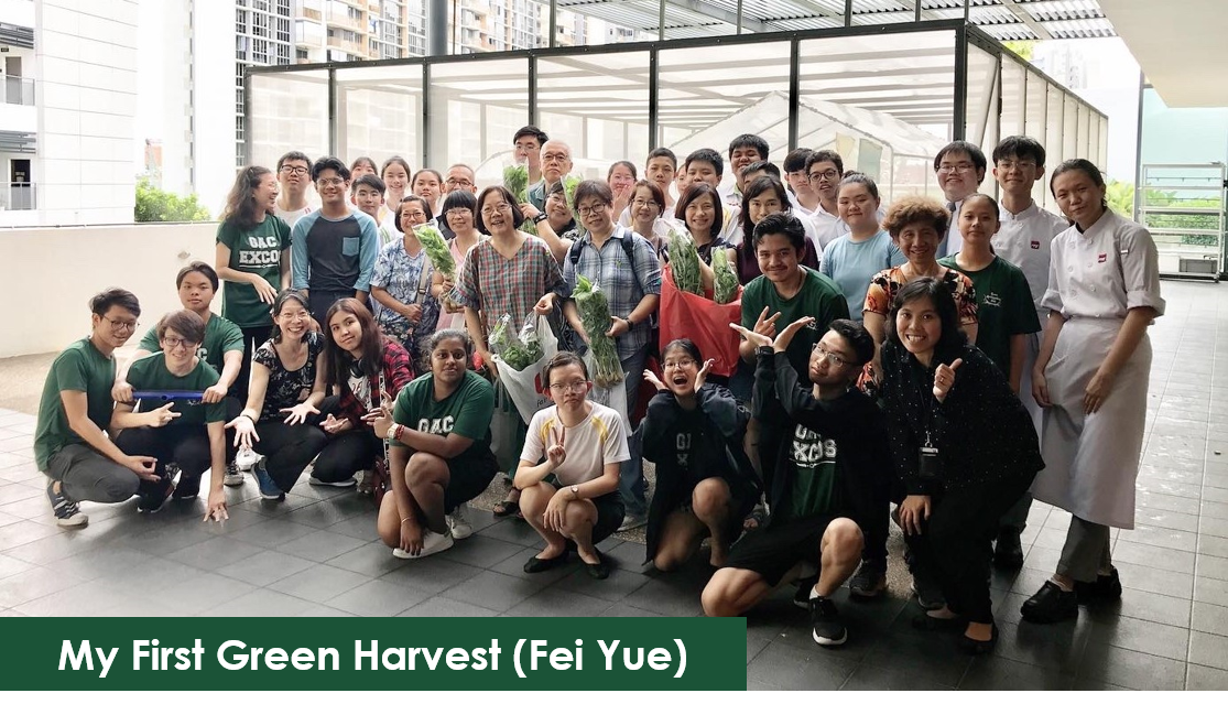 Group of people hold harvested greens in bags; some wearing 'GAC EXCO' shirts and chef whites.