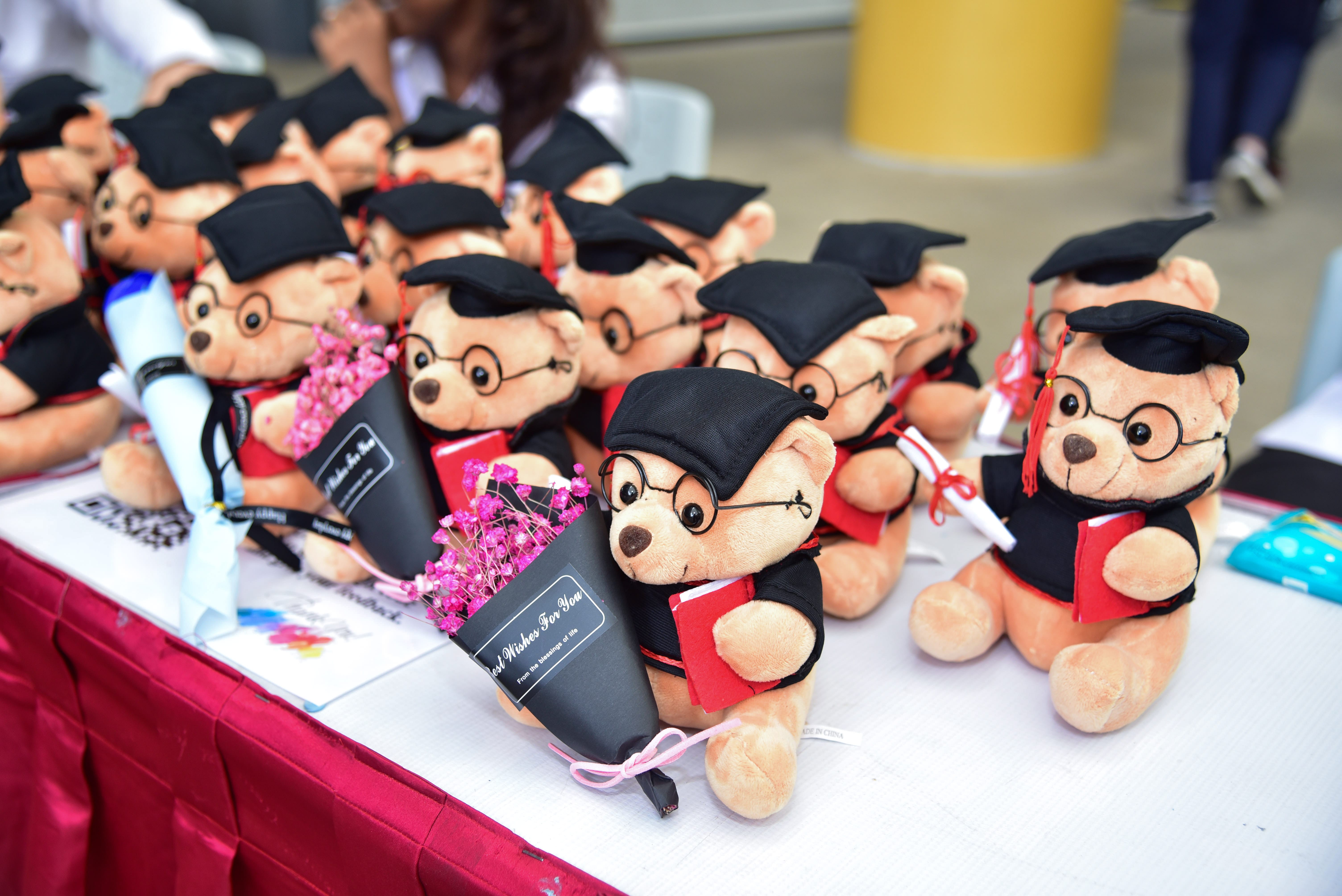 Teddy bears with graduation caps and gowns holding books or diplomas and pink flower bouquets.