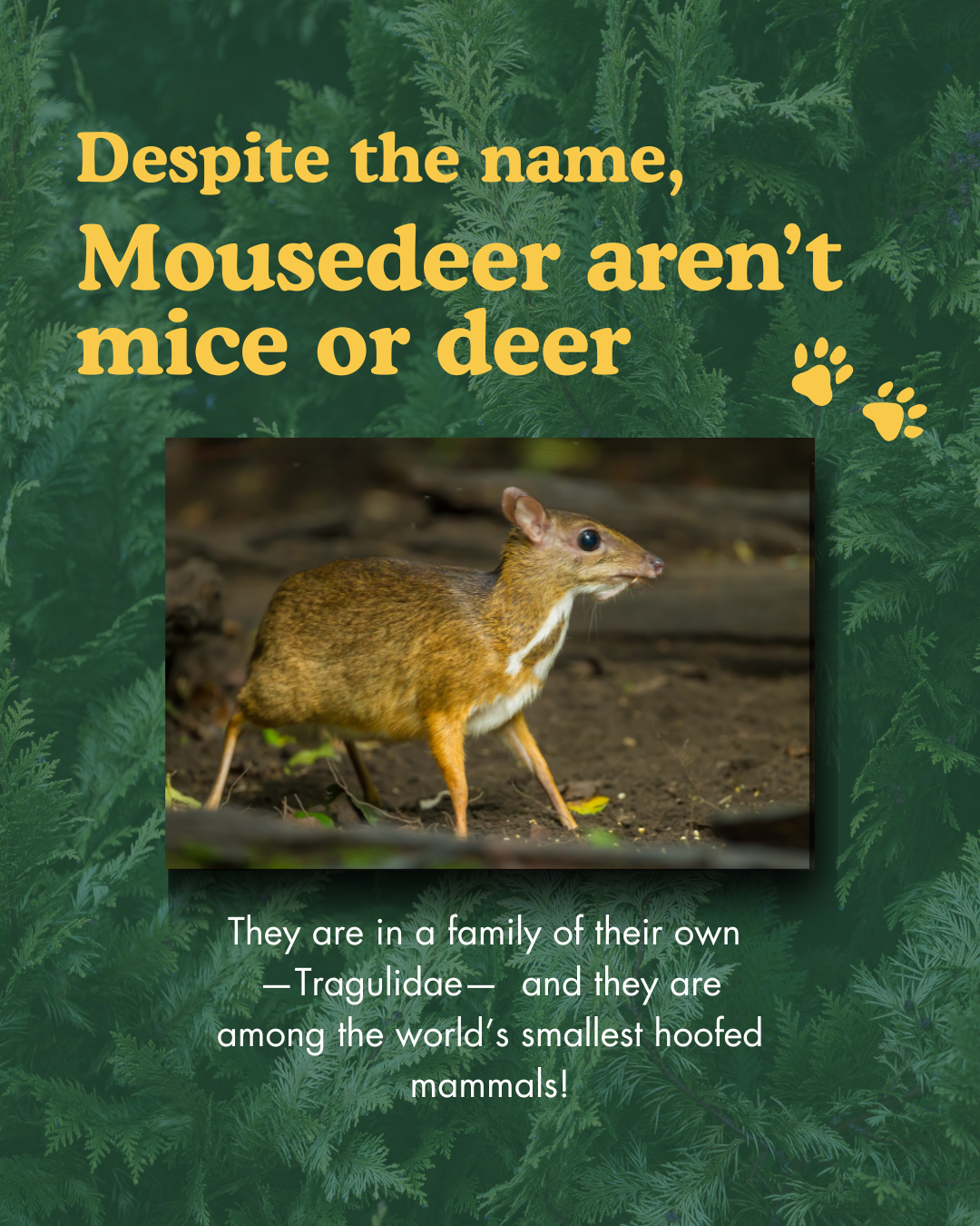 Please add an alternate text for this image