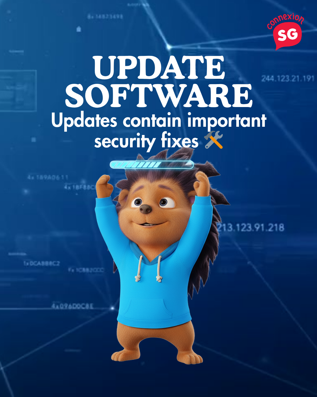aga the hedgehog holding a software progress bar. Text: "UPDATE SOFTWARE Updates contain important security fixes"