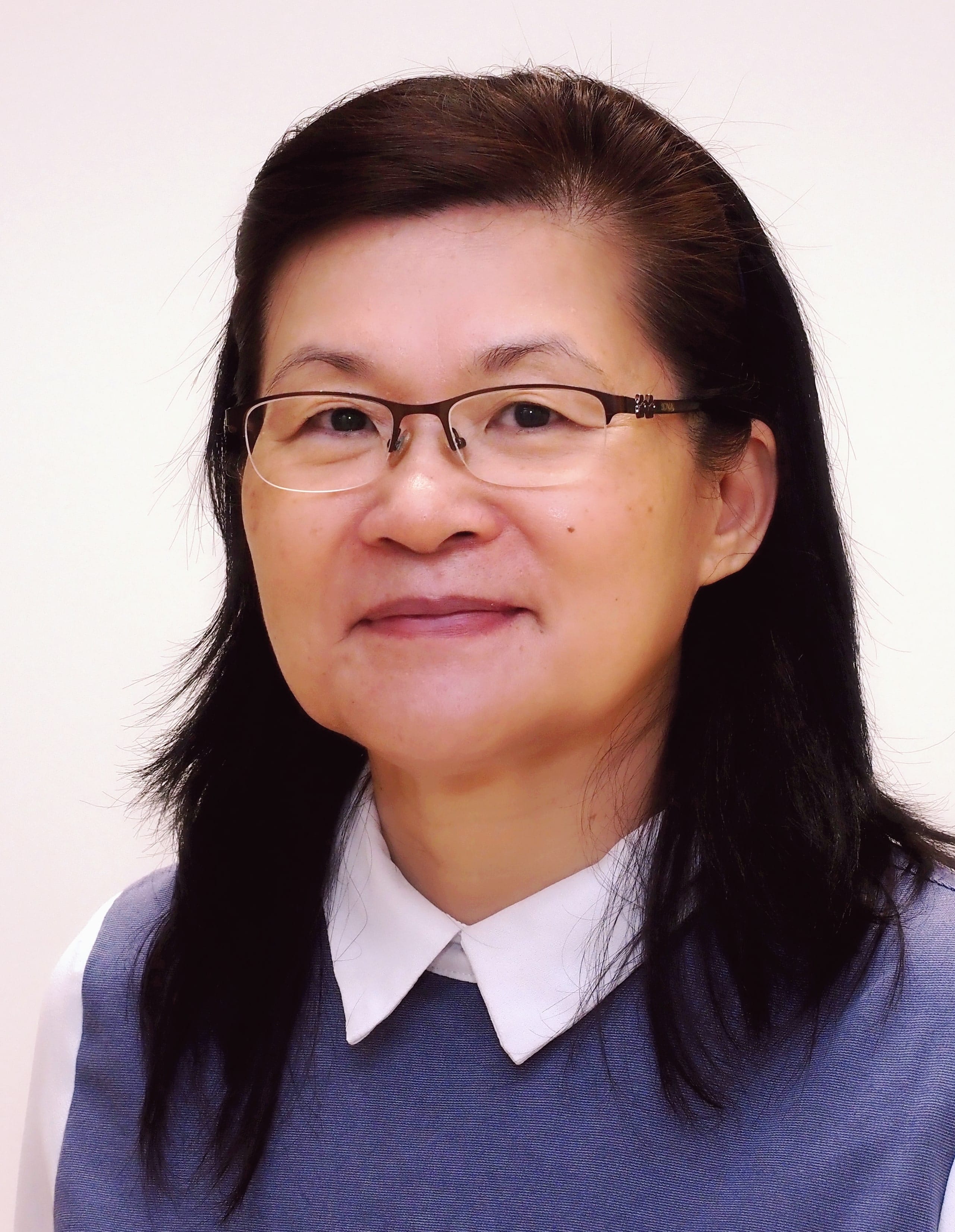 Professor Leo Yee-Sin, Senior Advisor of National Healthcare Group