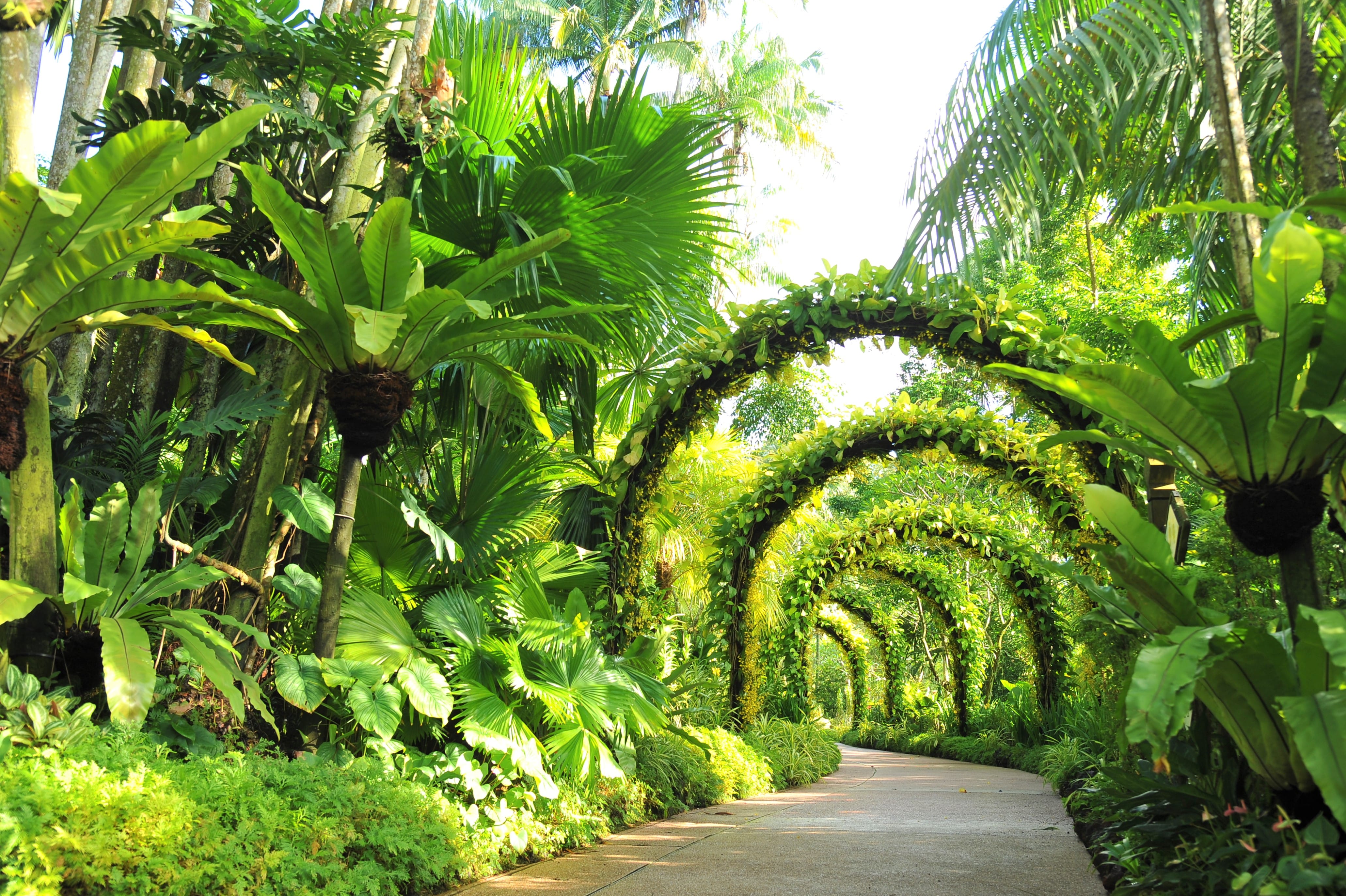 National Orchid Garden 