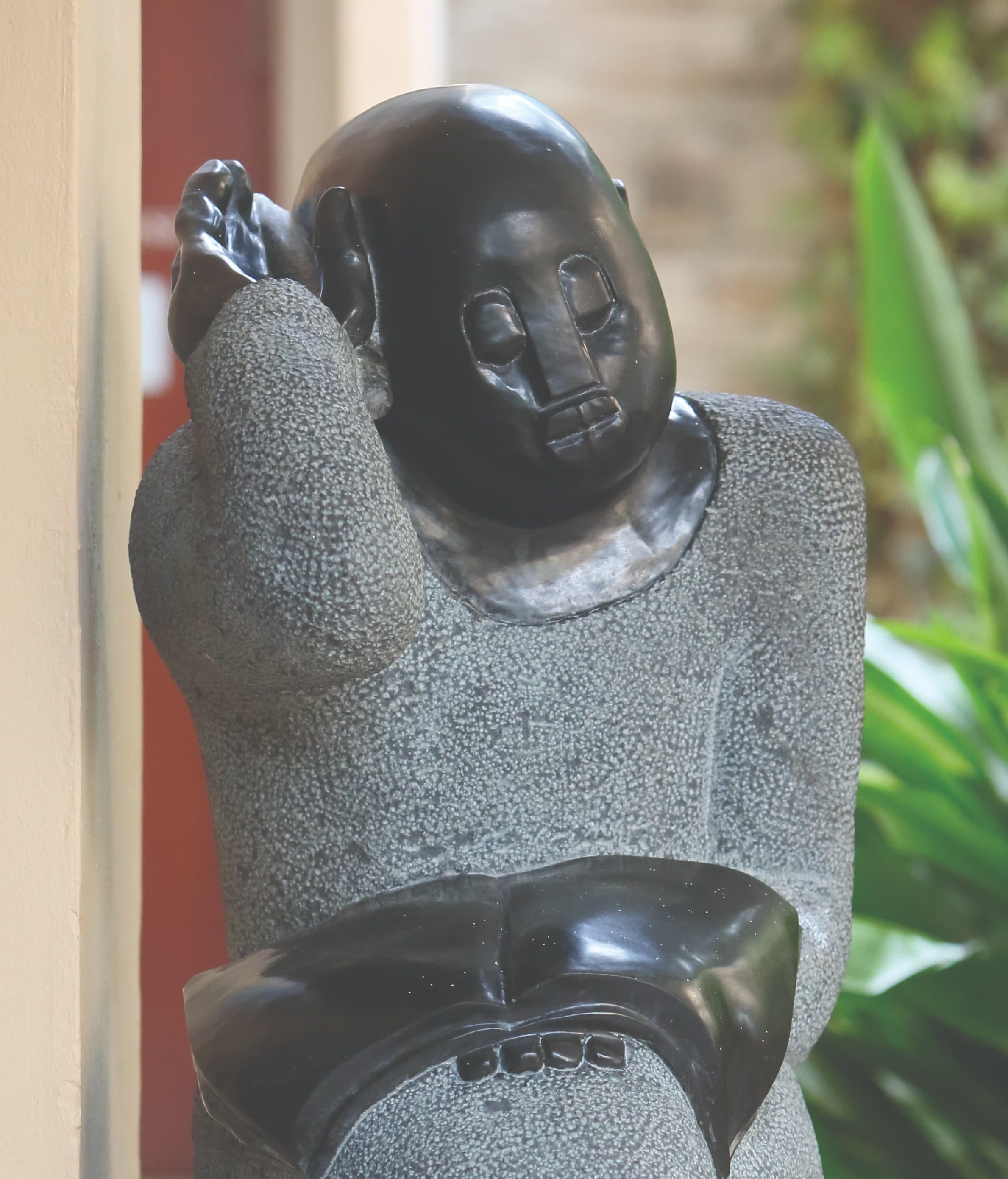 The Bookreader 