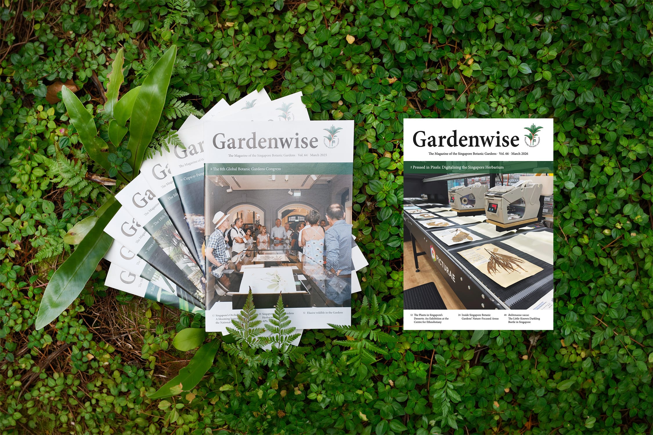 Check out Gardens' Bulletin Singapore