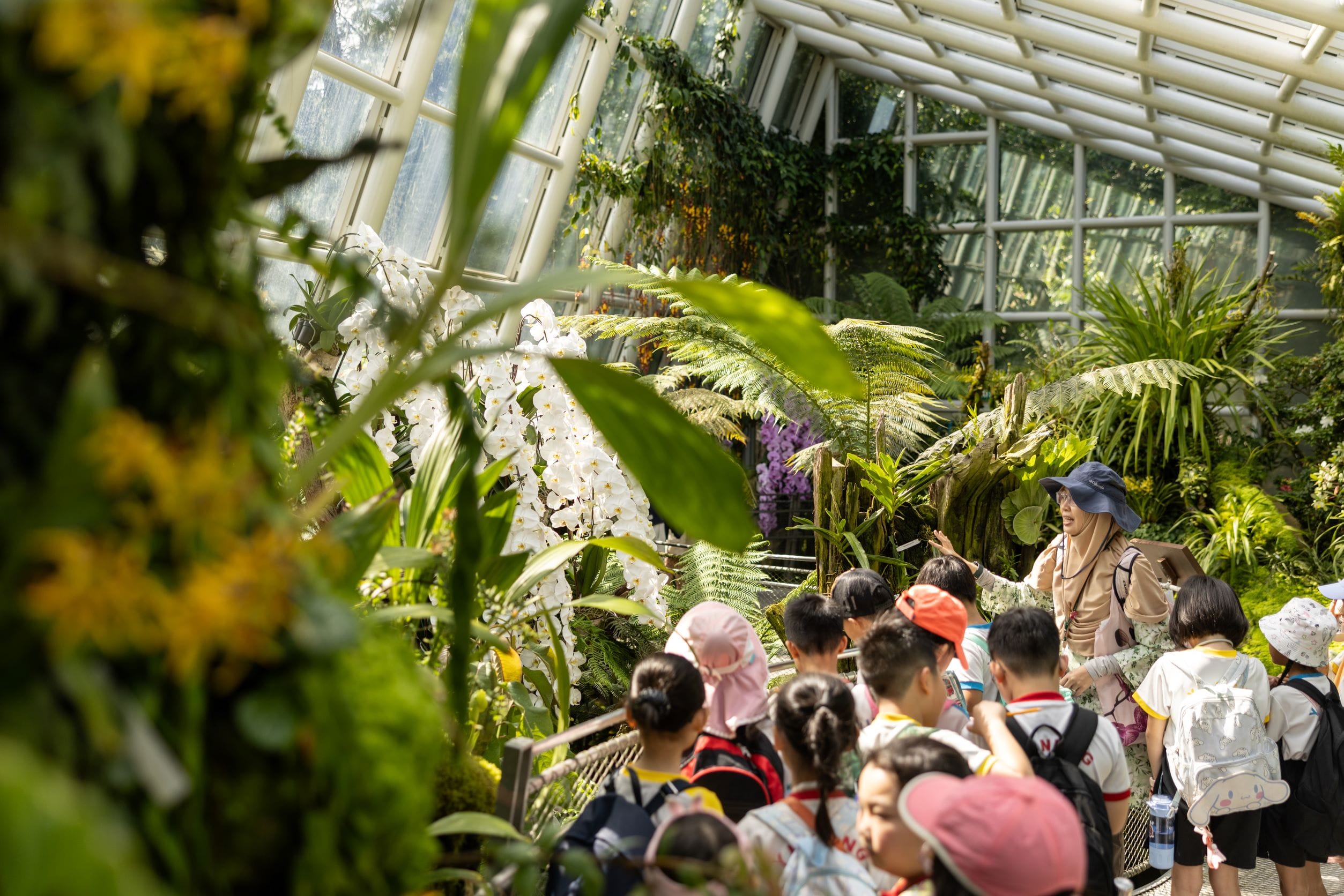 Orchid Tour at NOG