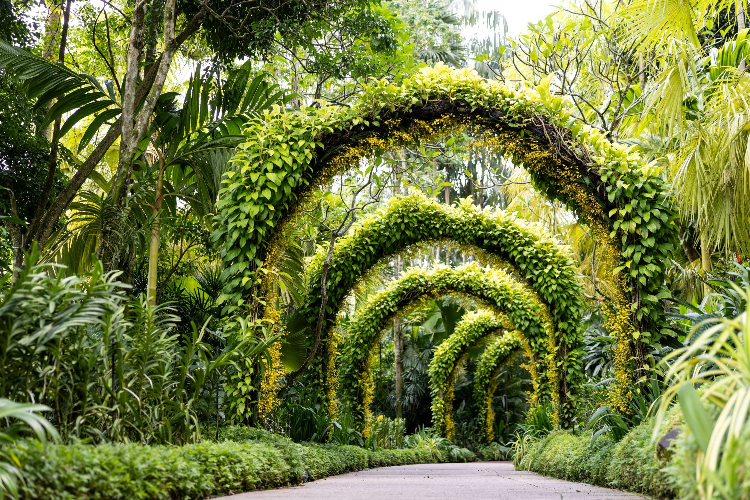 Orchid Tour