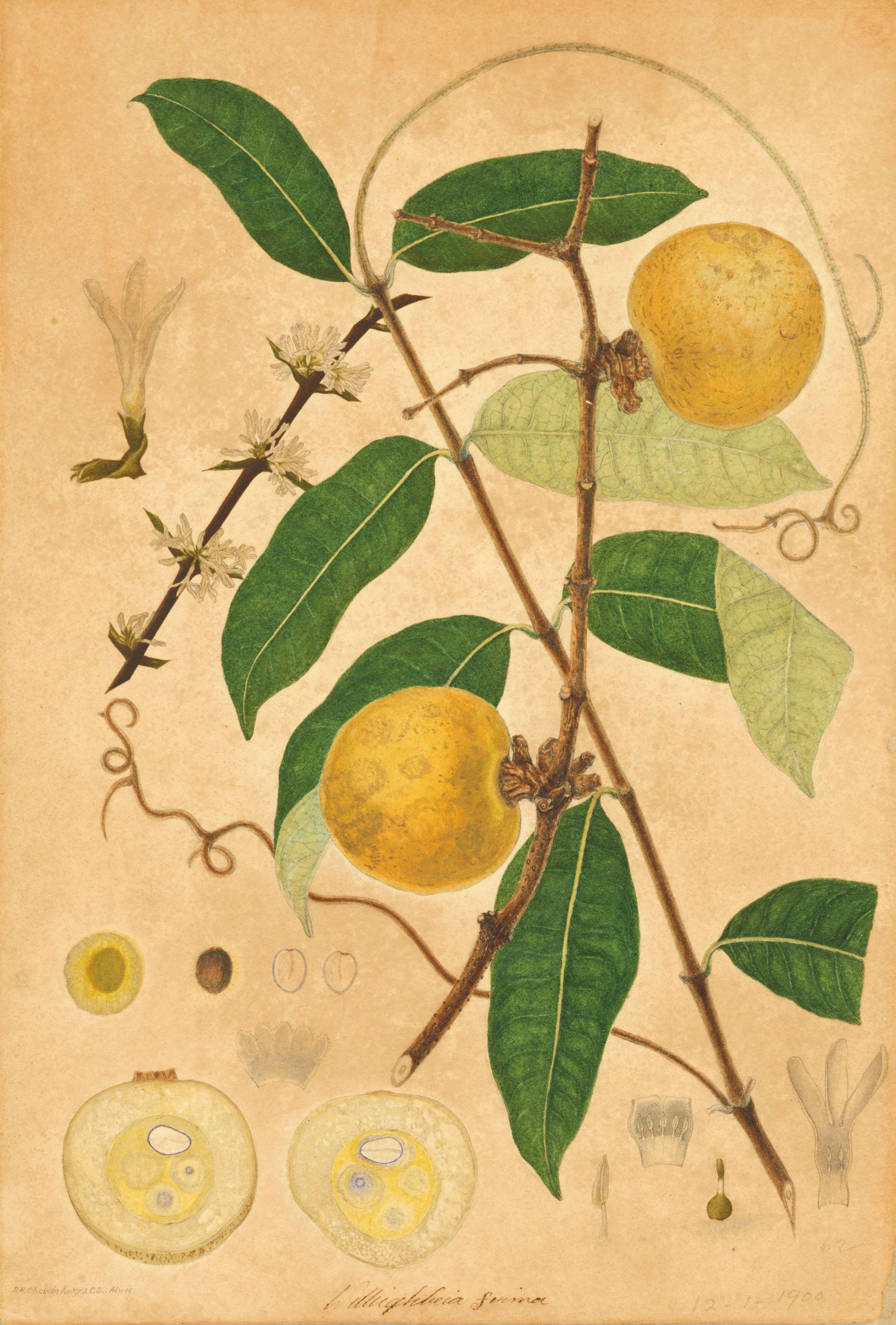 Artwork 2