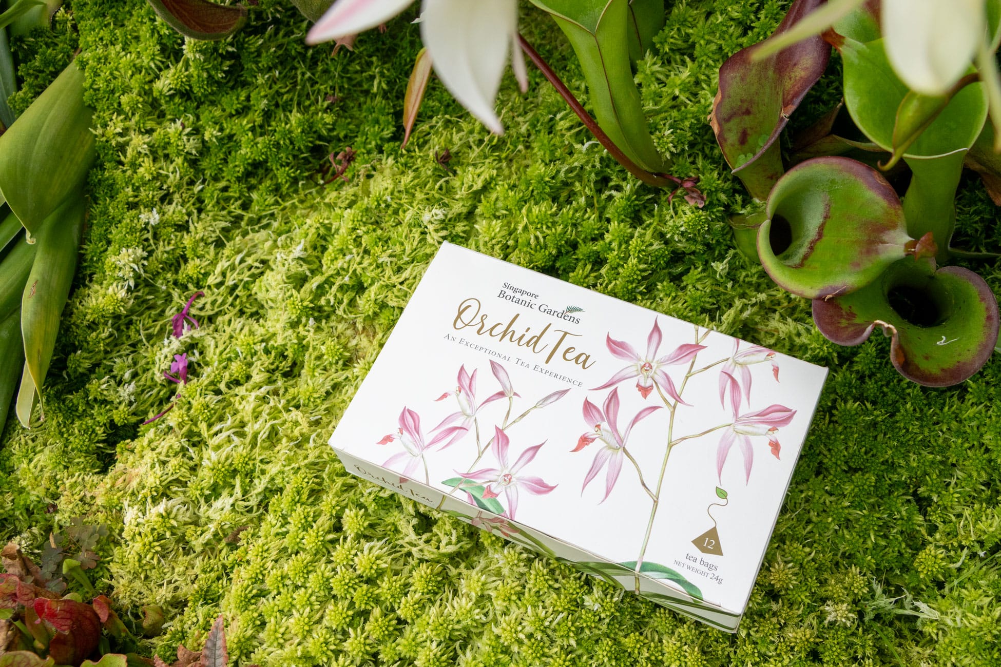 A gift box of tea which can be purchased from our Gardens Shop across the Gardens