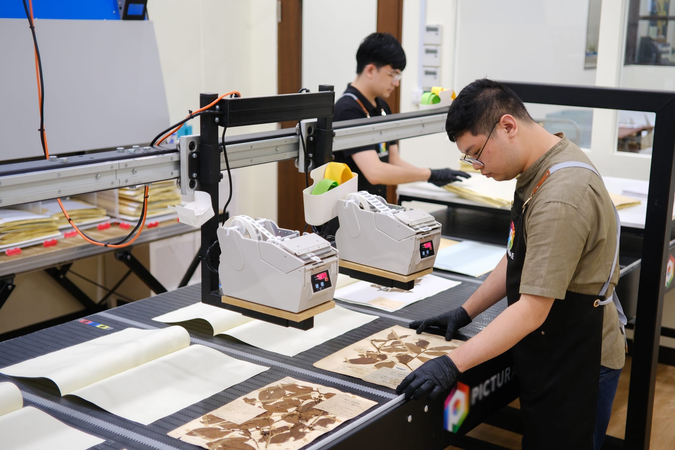 A closer look at digitalisation staff placing specimens on the conveyor belt for scanning.