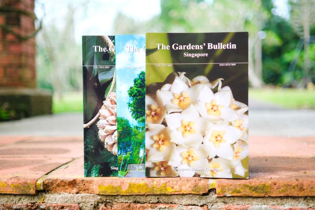 Cover image of GBS