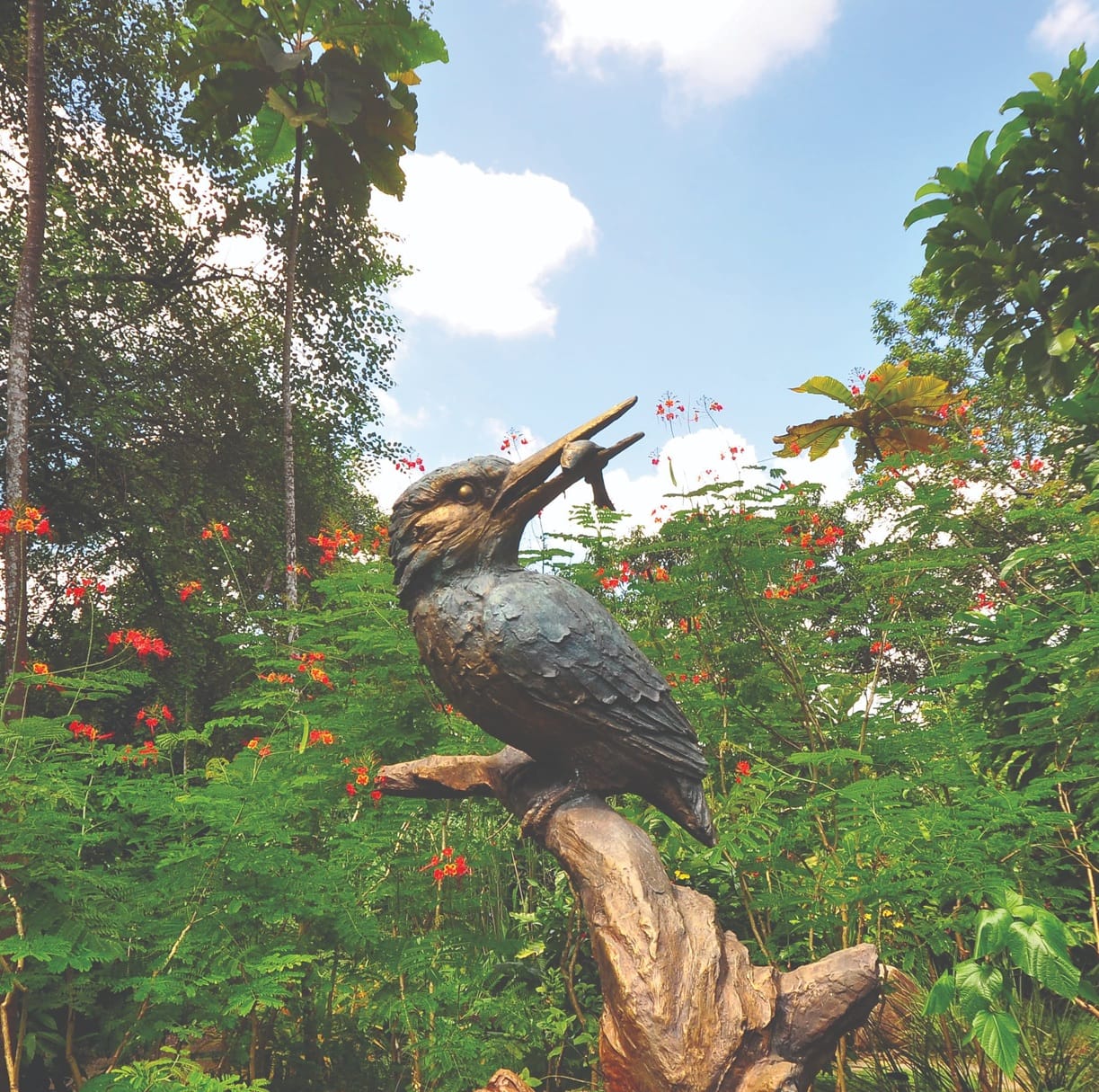 Native Wildlife 