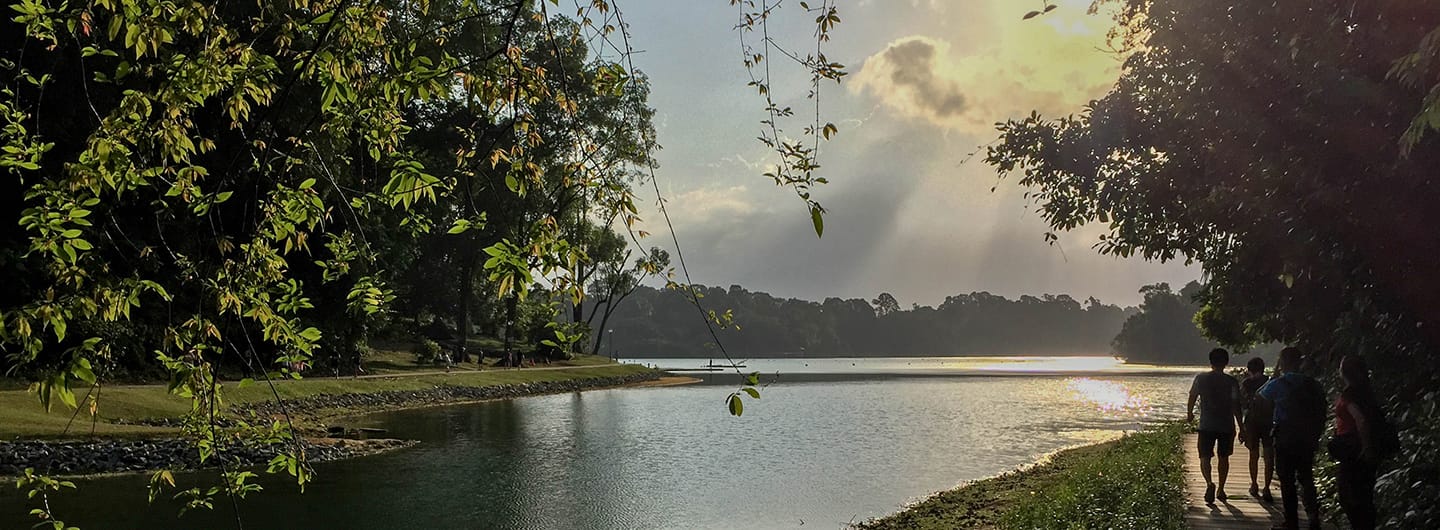 Lake view with people walking on a path; trees on the sides, bright sunlight.