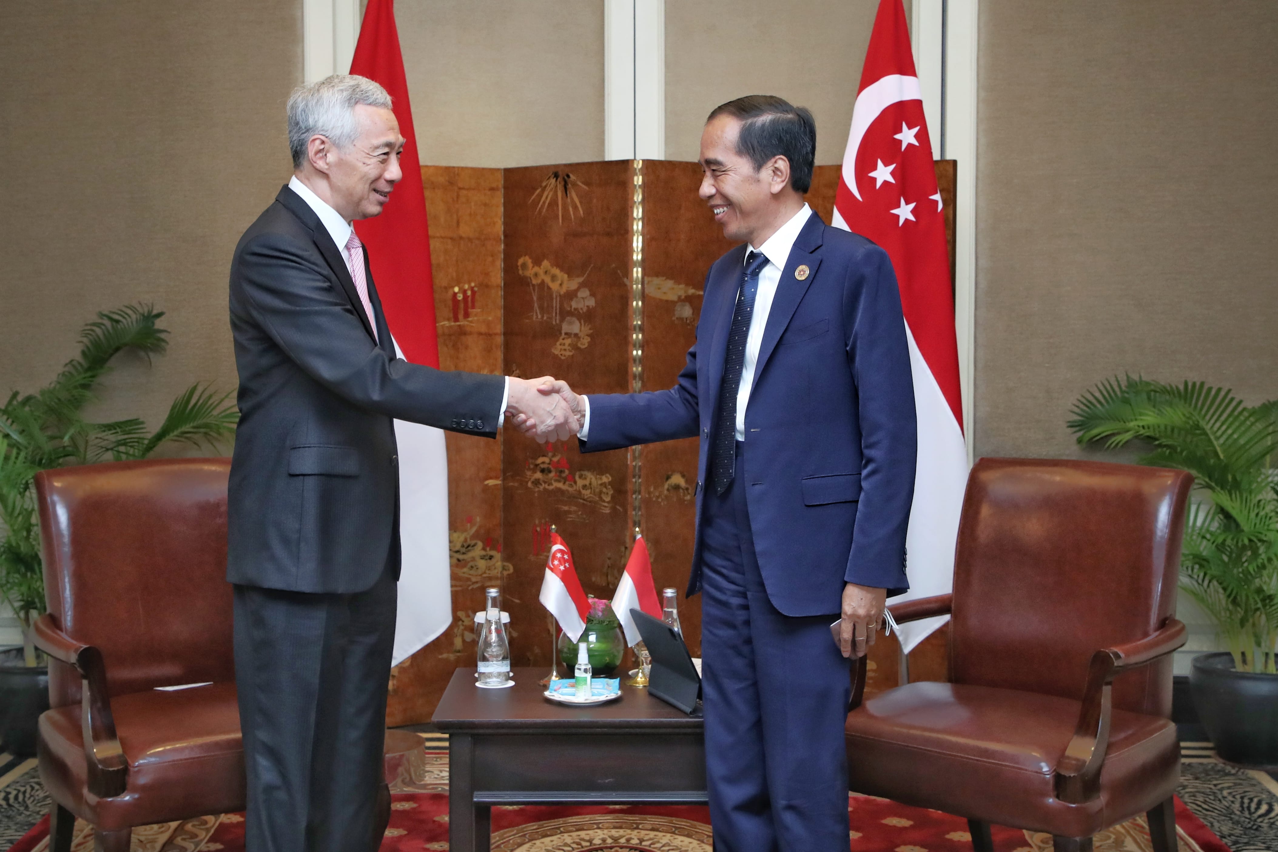 Lee Hsien Loong and Joko Widodo shaking hands, with Singaporean and Indonesian flags.