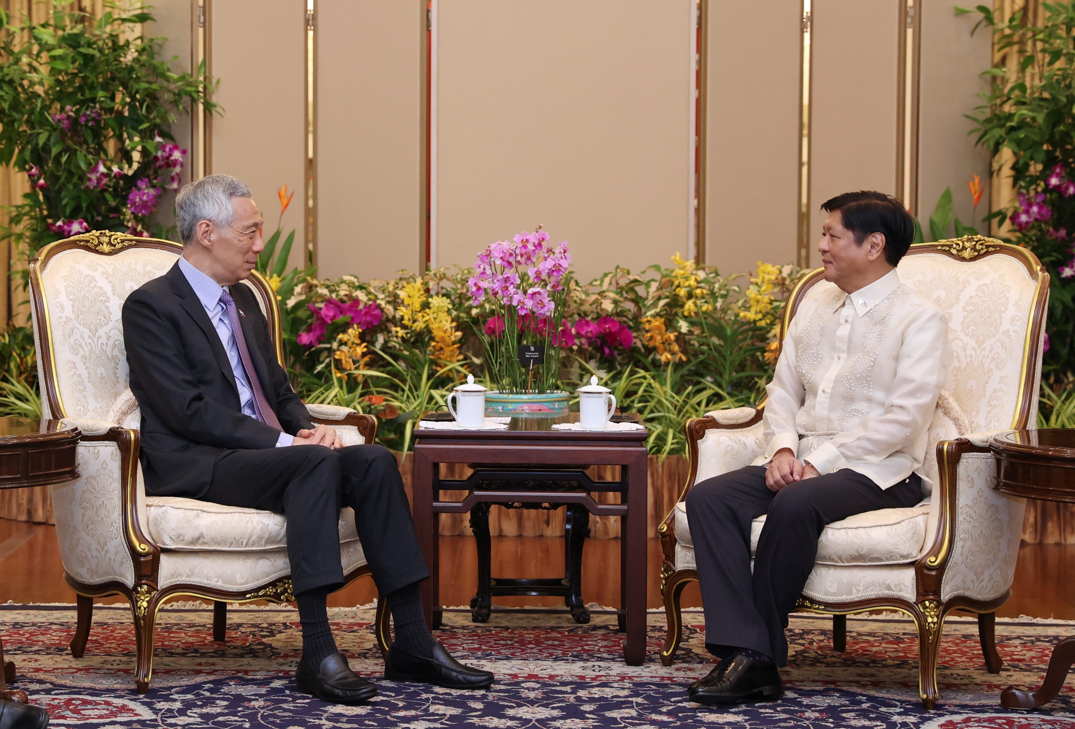 Lee Hsien Loong and Bongbong Marcos sit in ornate chairs facing each other, with flowers and a table between them.