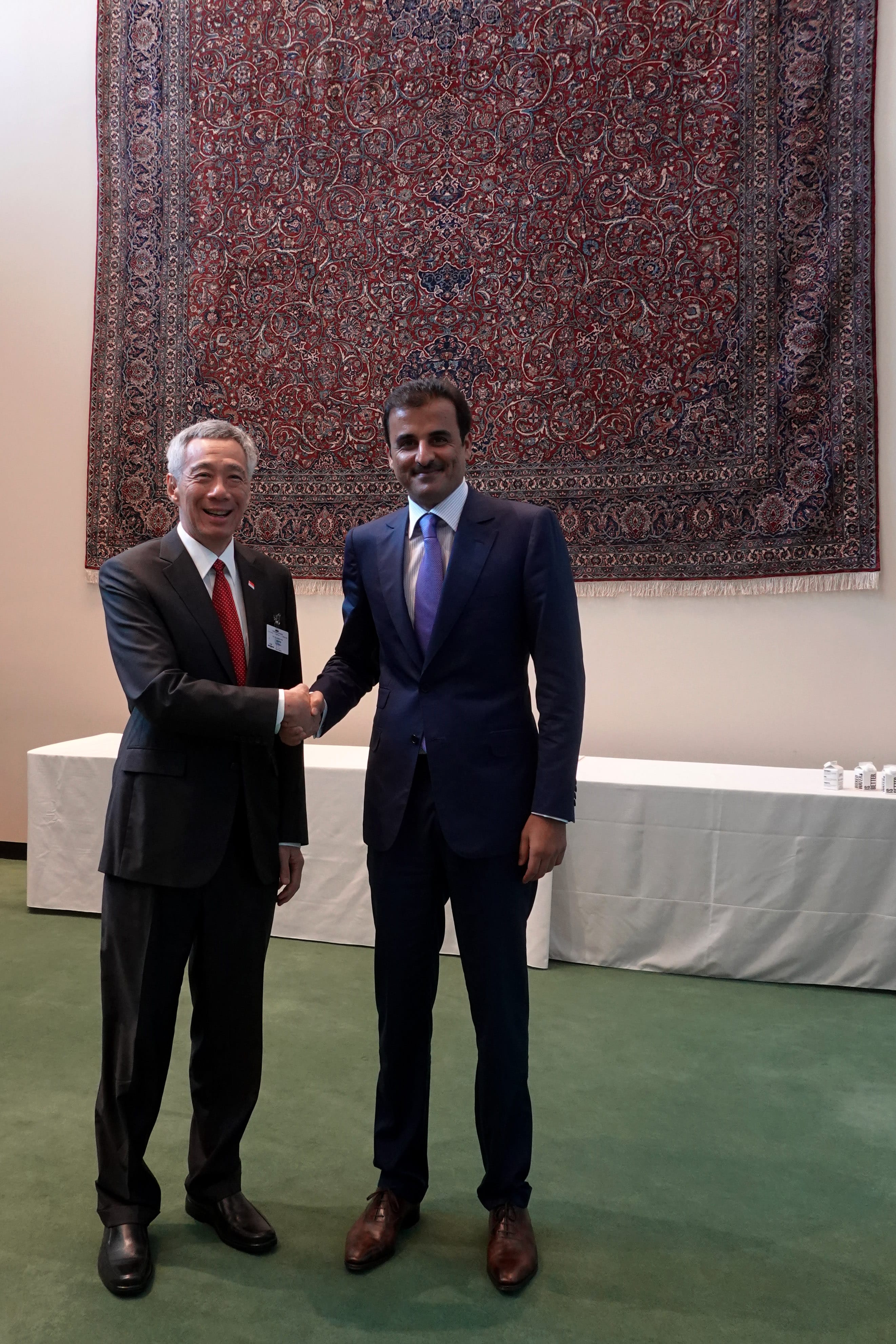 Lee Hsien Loong and Tamim bin Hamad Al Thani shaking hands near a red patterned tapestry.