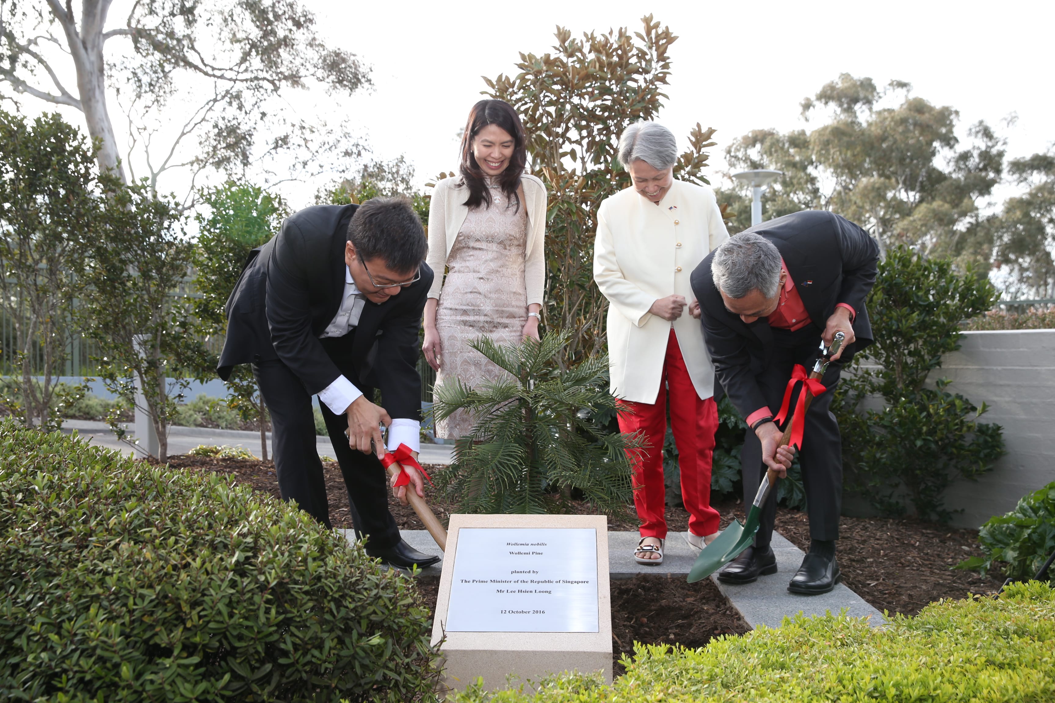 Three people at Wollemi Pine planting. Men in suits, woman in red pants, using shovel; plaque visible.