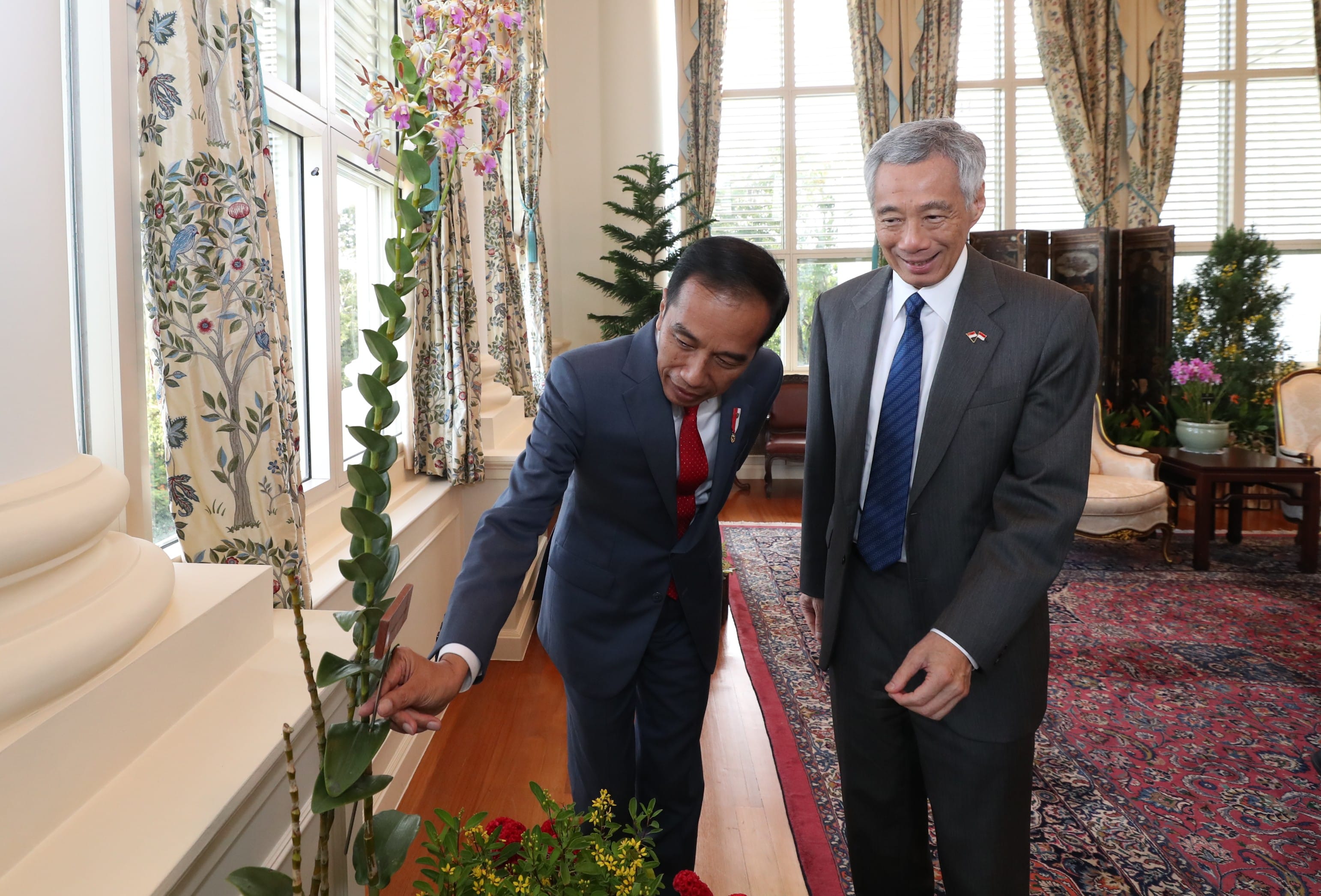 Two men in suits by flowers; one touching leaves, the other standing. Window, ornate rug.