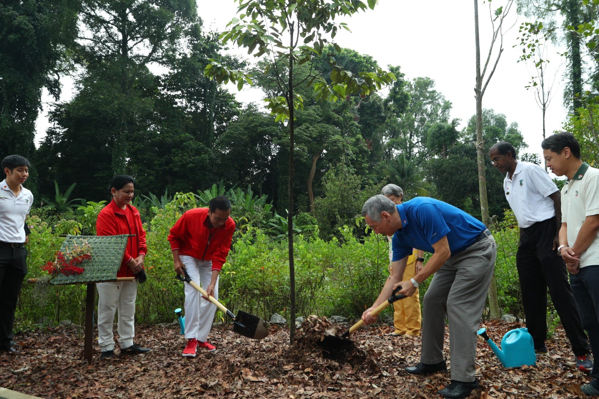 Group planting a tree, using shovels, with others watching in a garden.