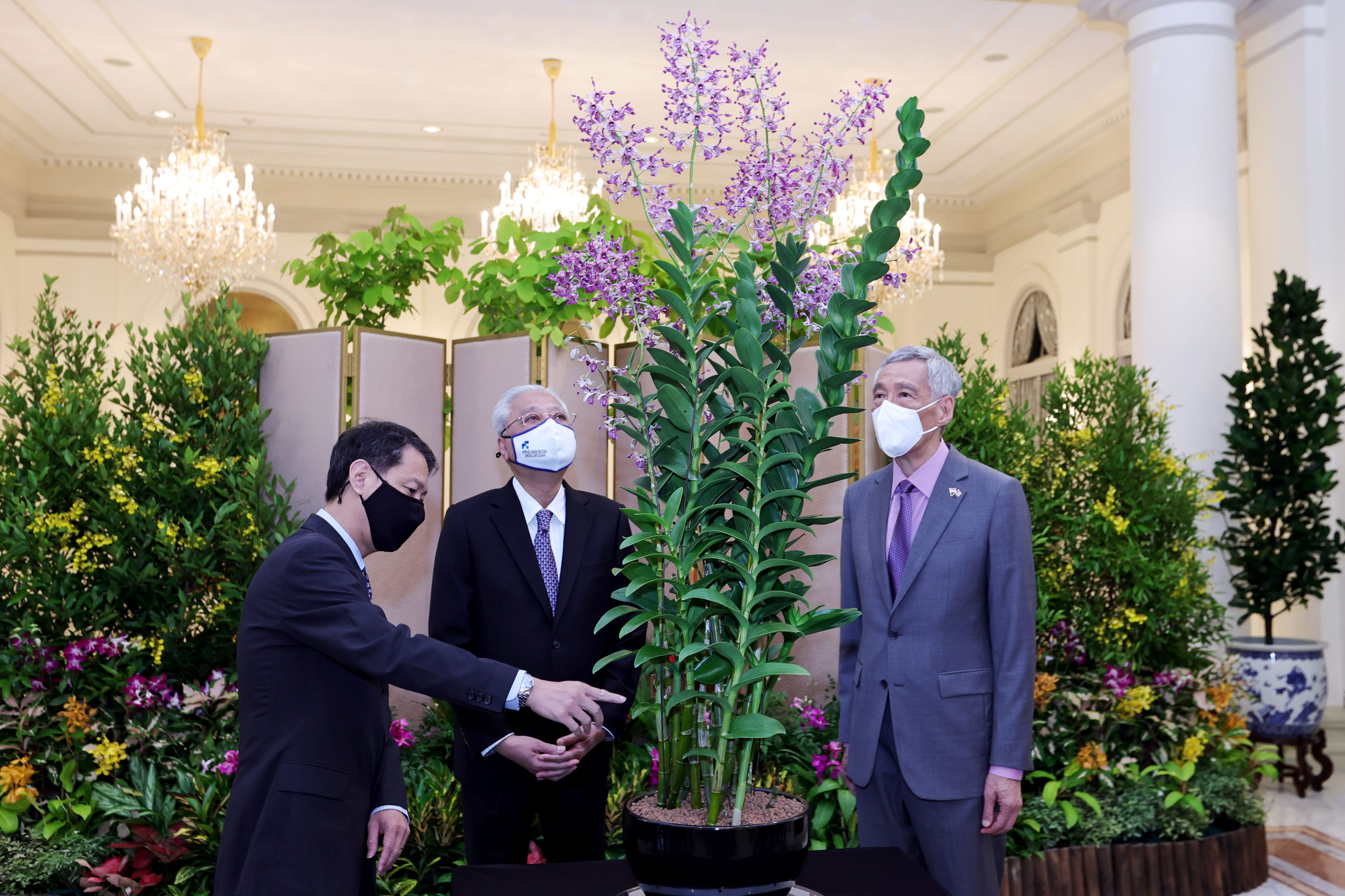 Three masked men in suits look at potted orchids in an ornate room.