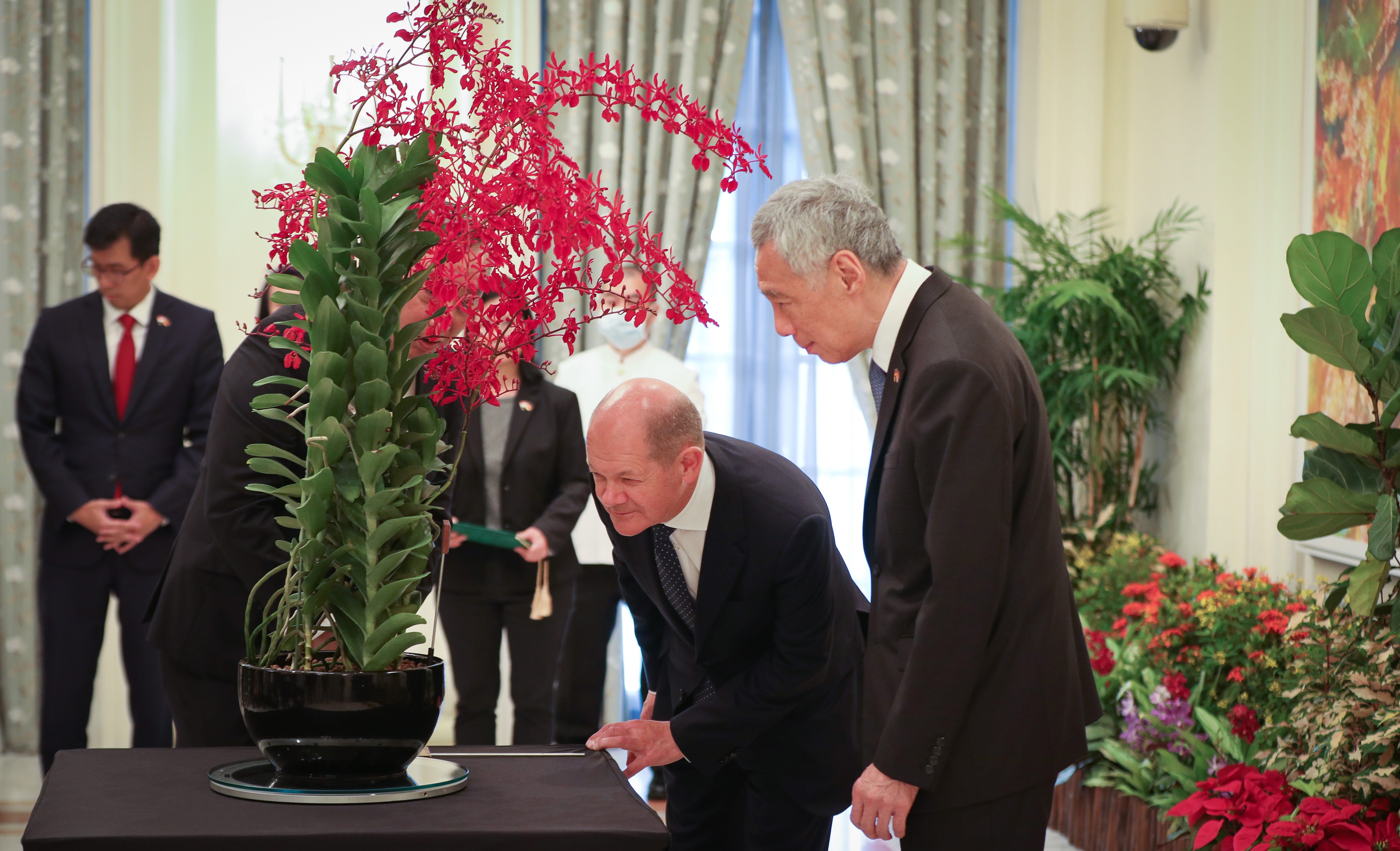 Olaf Scholz and Lee Hsien Loong look at a potted plant with red flowers.