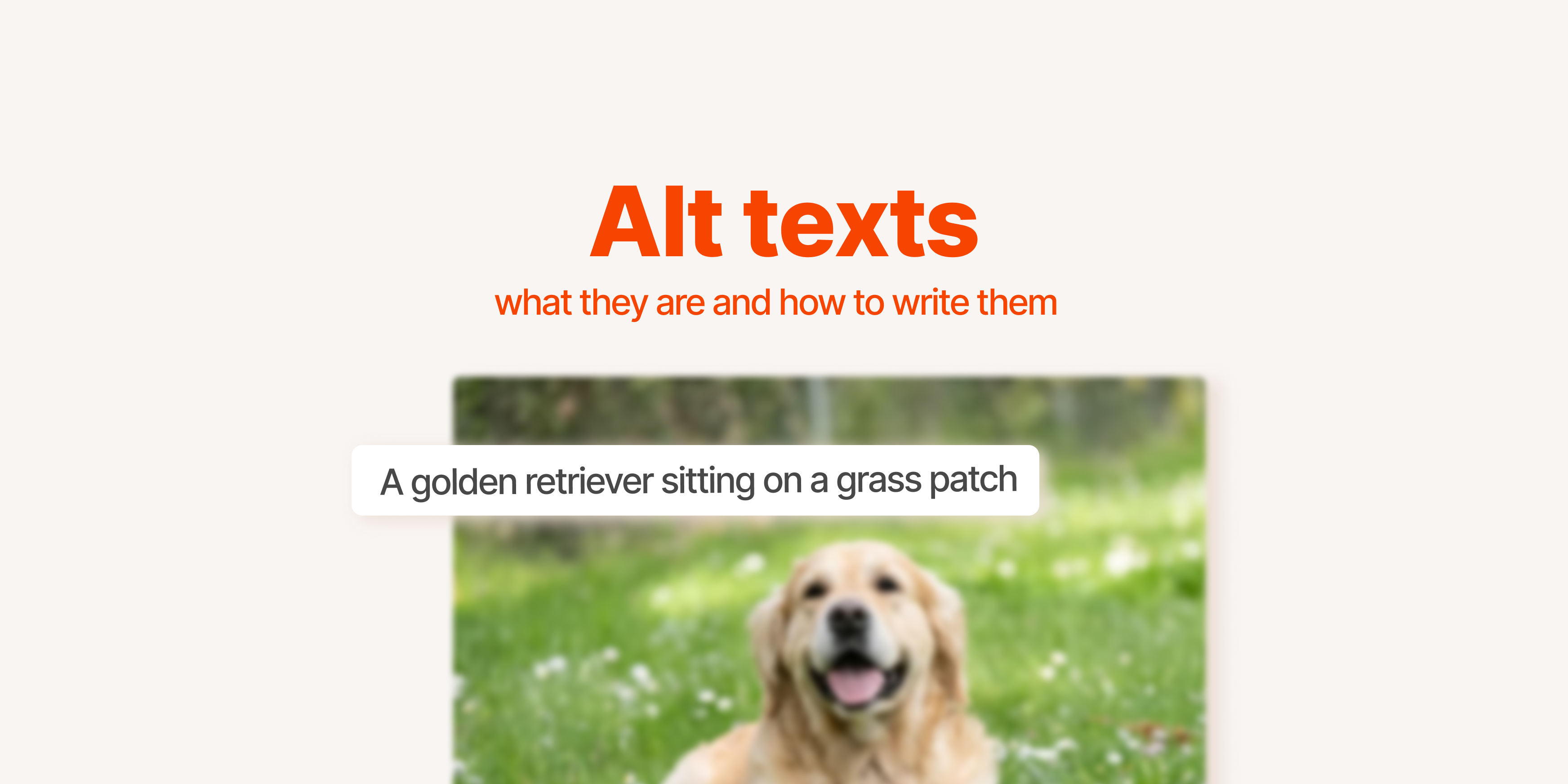 Article cover image about writing alt texts.