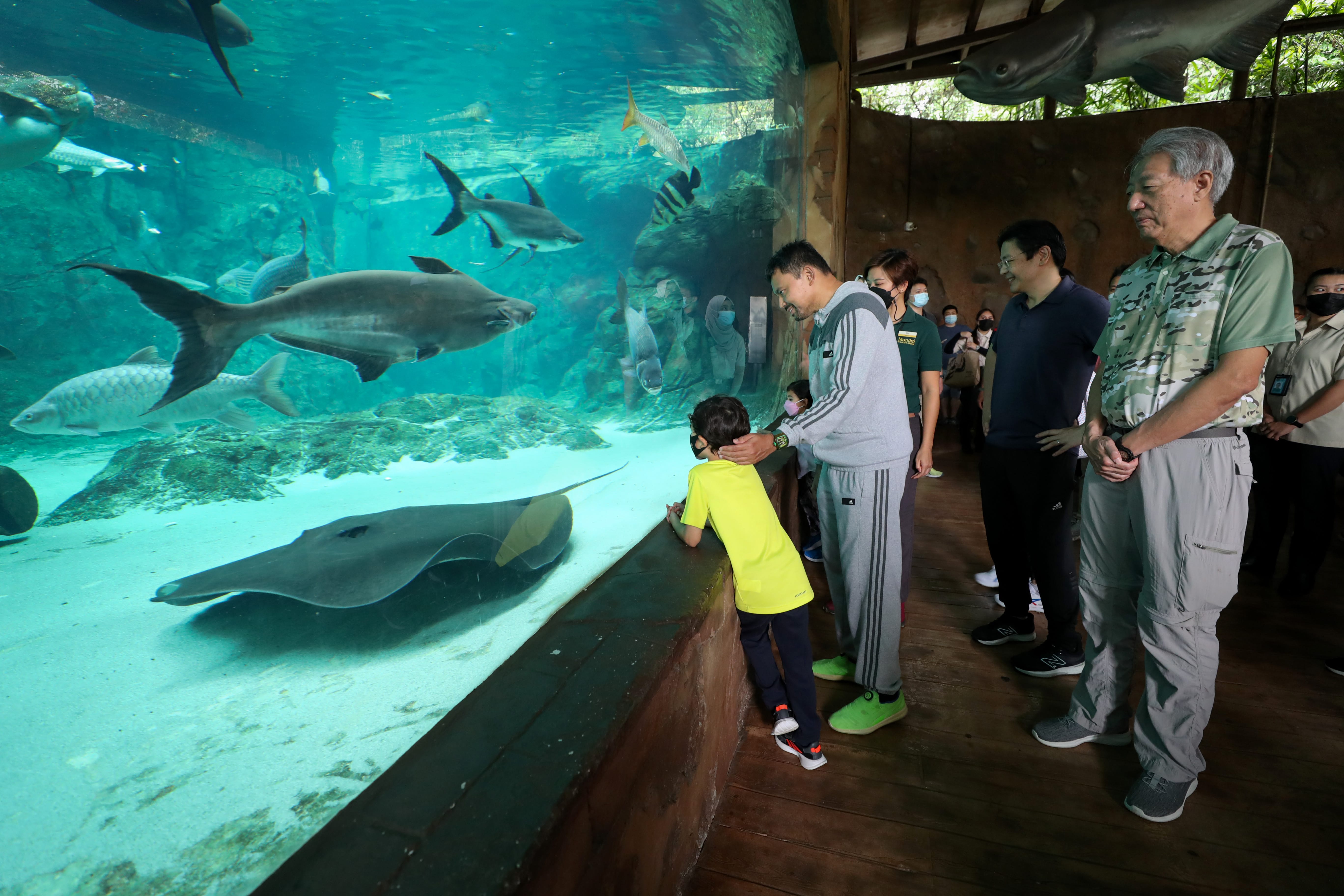 People view stingray and fish in a large aquarium at a Mandalay Bay-like exhibit.