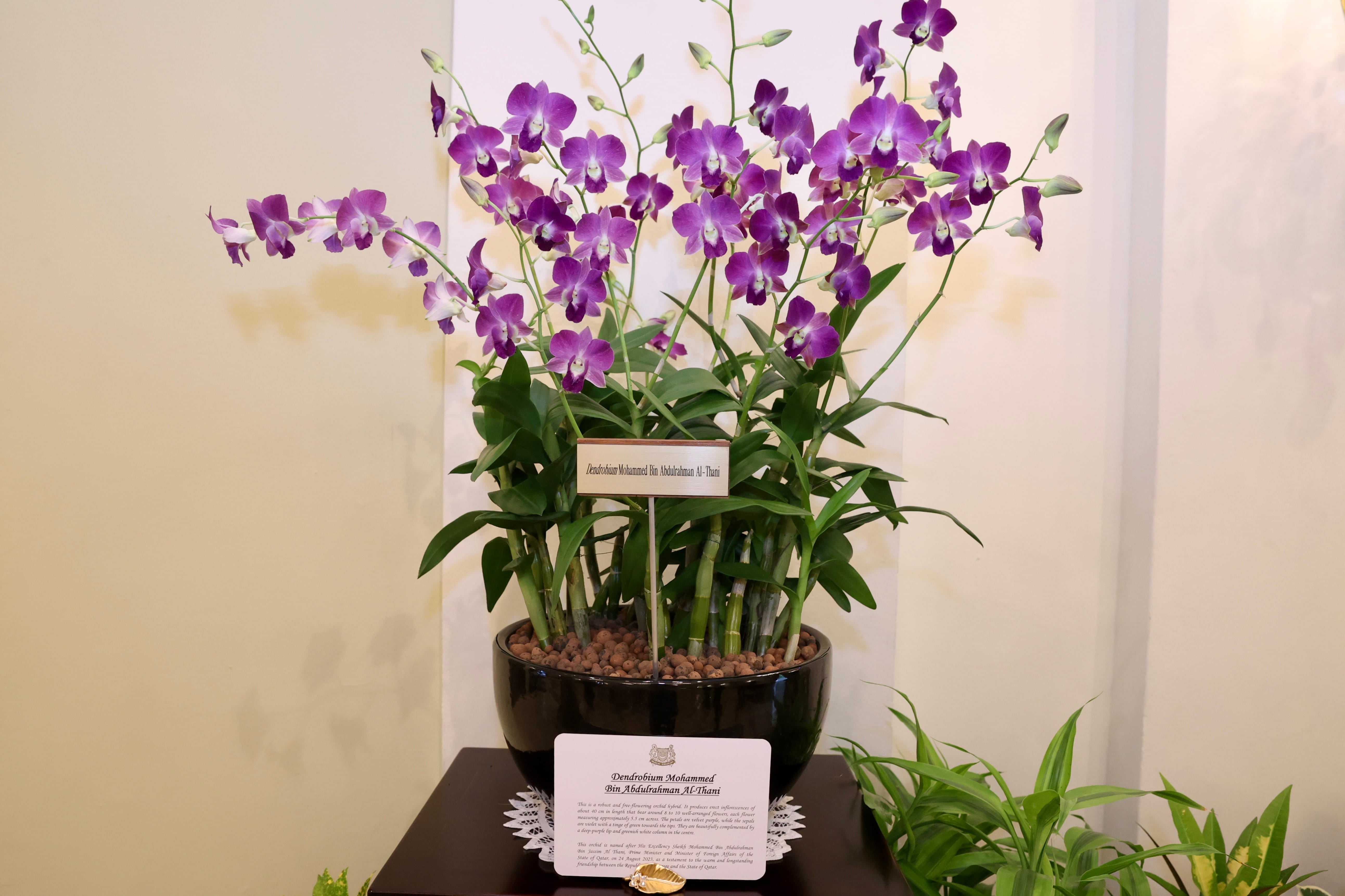 Justin Trudeau and Lee Hsien Loong sit facing each other in armchairs in a decorated room.